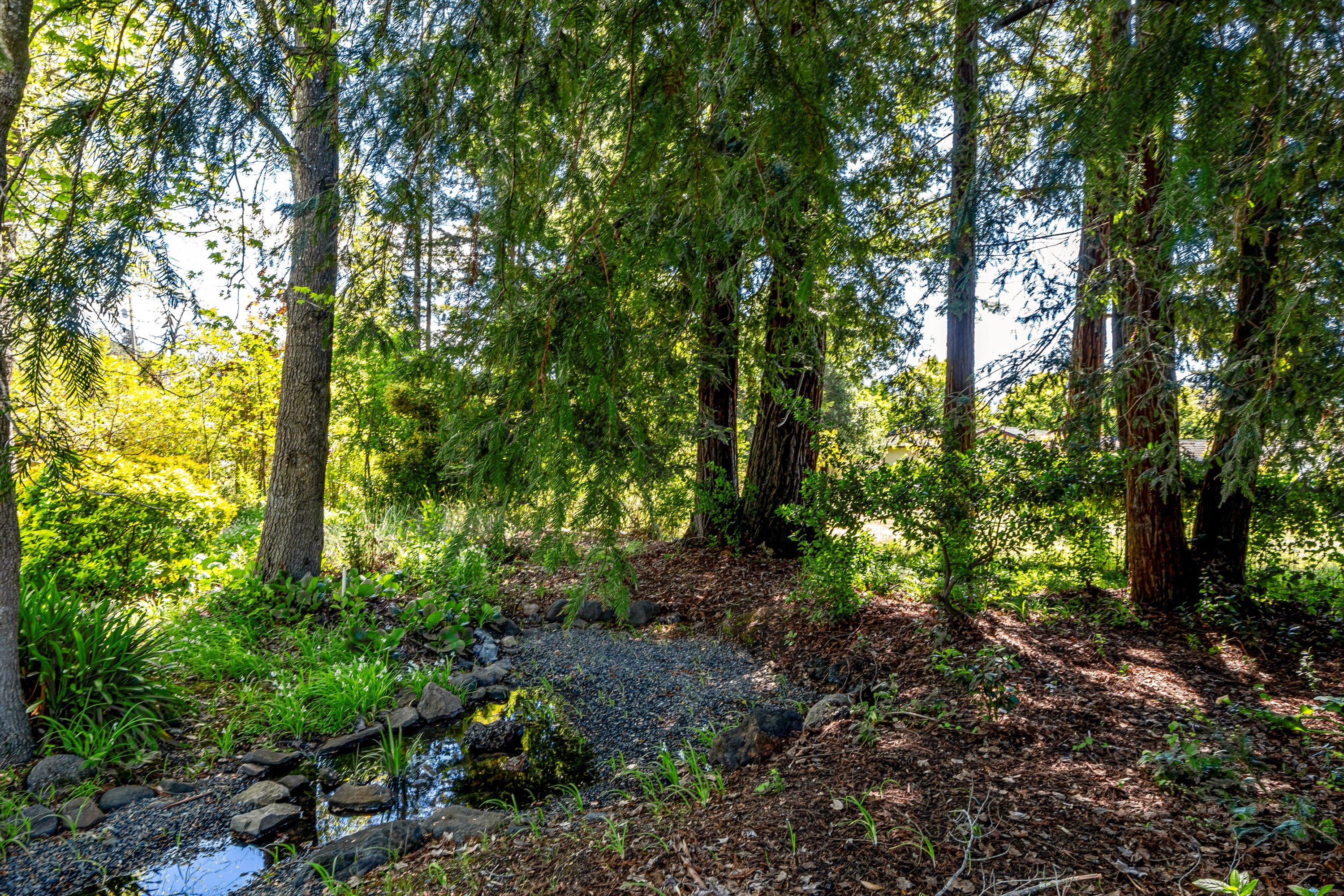  1040 Mount George Avenue - 物件實景