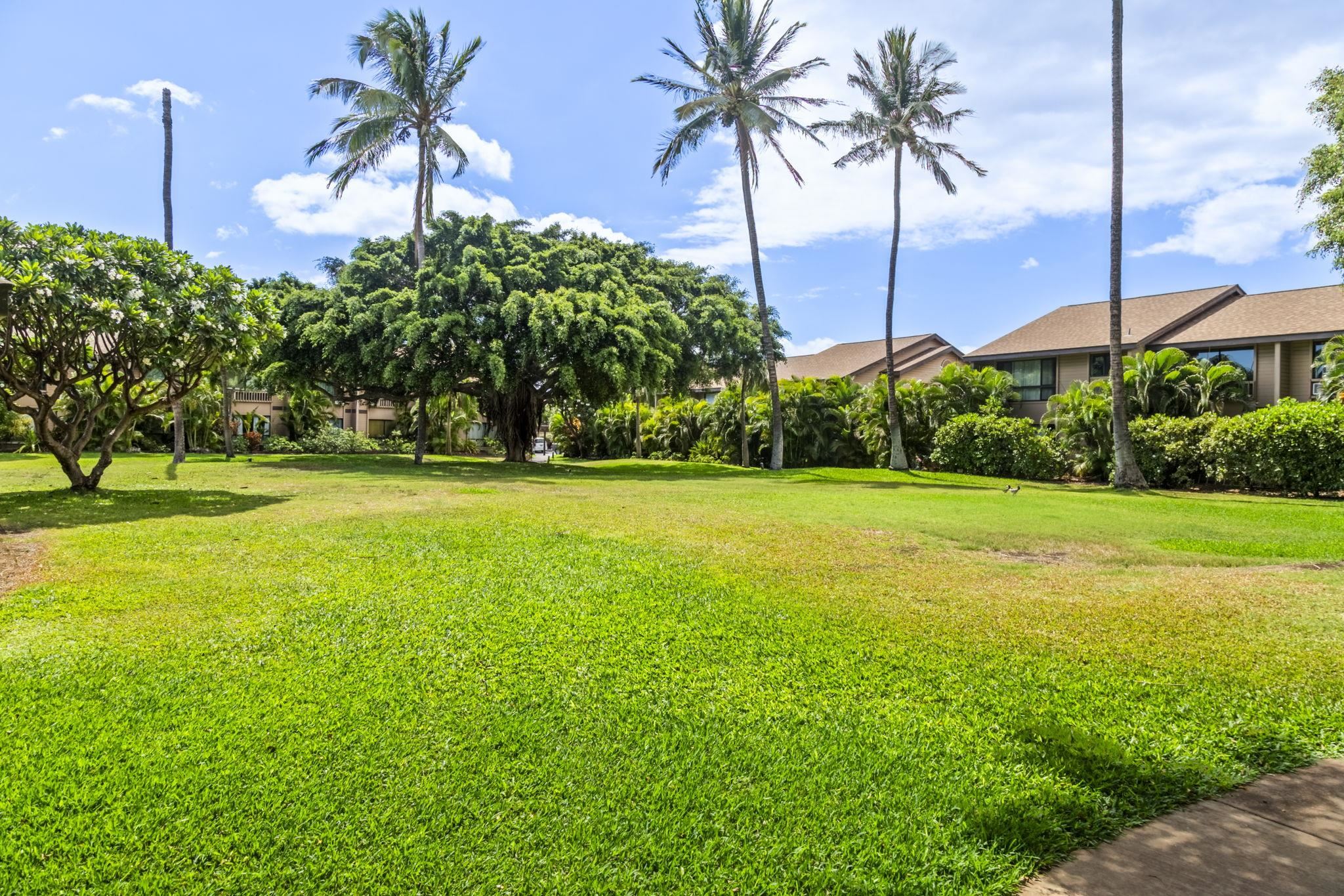 Kihei, Hawaii, 96753, United States, 3 Bedrooms Bedrooms, ,2 BathroomsBathrooms,Residential,For Sale,1901251