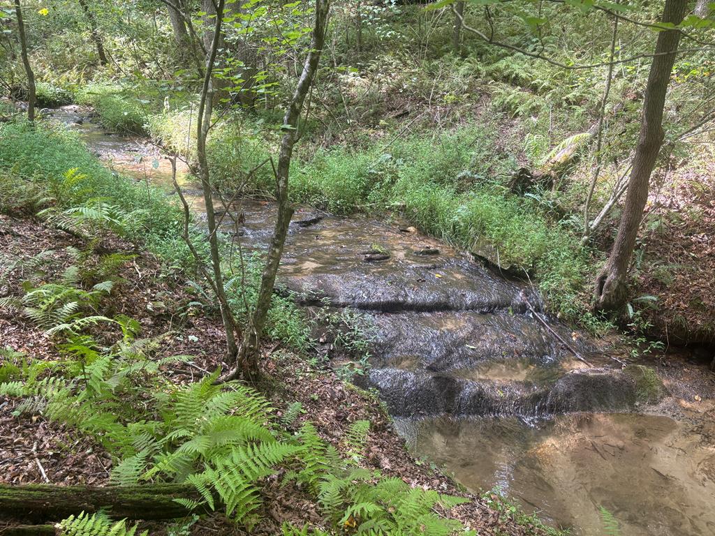 Blue Ridge, Georgia, 30513, United States, 4 Bedrooms Bedrooms, ,3 BathroomsBathrooms,Residential,For Sale,1919081