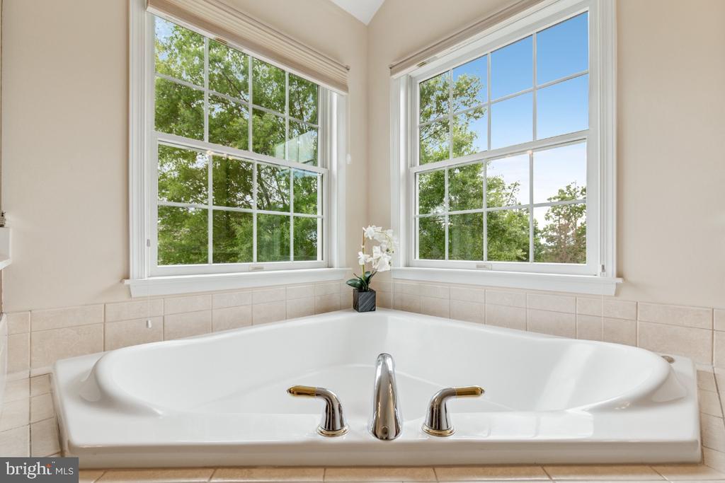 Ashburn, Virginia, 20147, United States, 5 Bedrooms Bedrooms, ,6 BathroomsBathrooms,Residential,For Sale,1839490