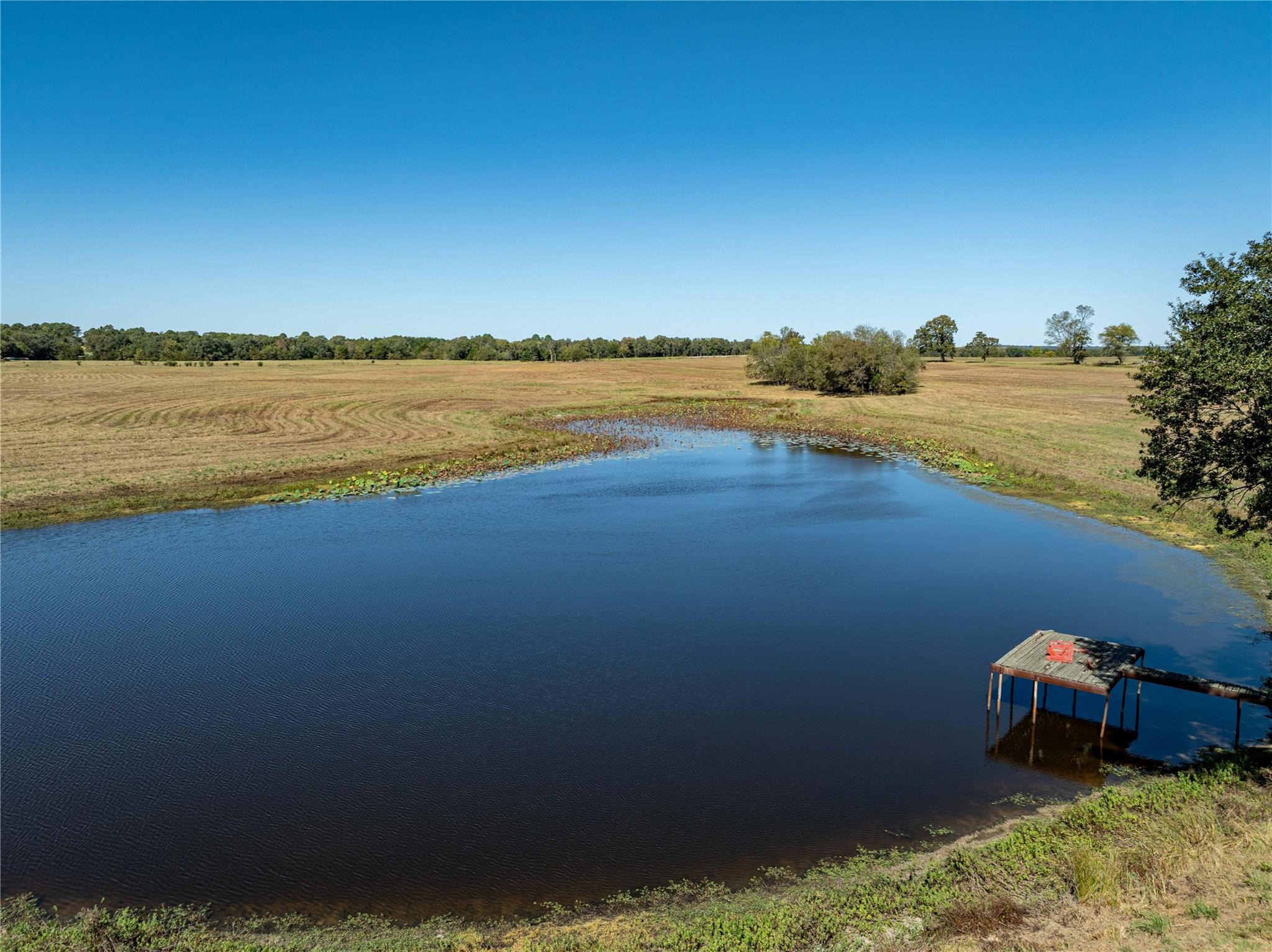 Canton, Texas, 75103, United States, 5 Bedrooms Bedrooms, ,3 BathroomsBathrooms,Residential,For Sale,1976221