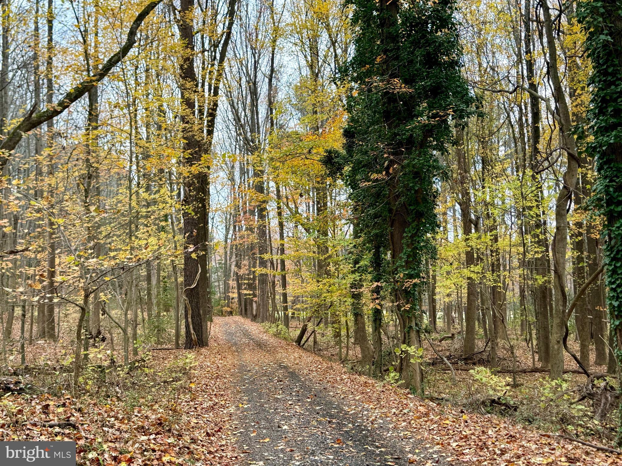 Lexington Park, Maryland, 20653, United States, 4 Bedrooms Bedrooms, ,3 BathroomsBathrooms,Residential,For Sale,1999530