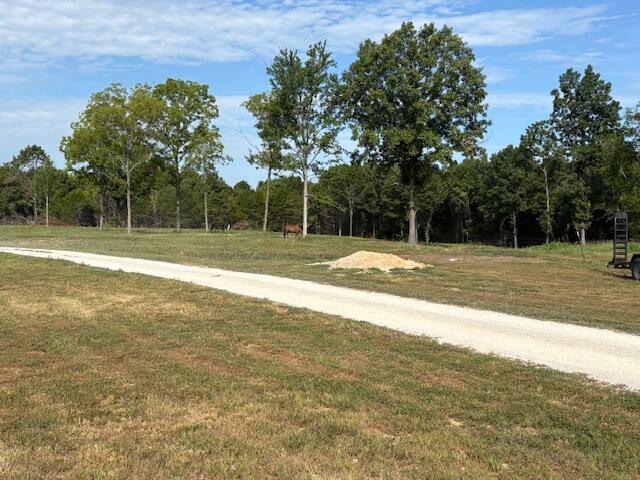 Galena, Missouri, 65656, United States, 4 Bedrooms Bedrooms, ,3 BathroomsBathrooms,Residential,For Sale,1981059