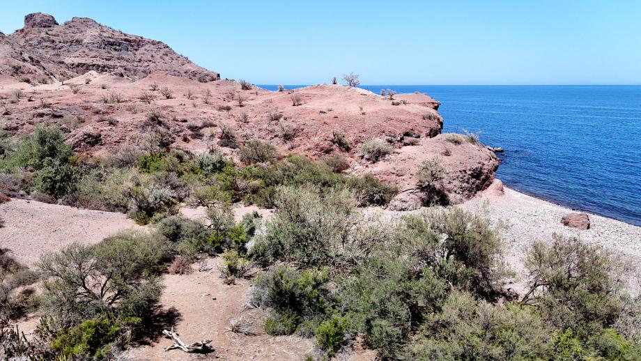 Sin calle, La Danzante, Baja California Sur, 23895, Mexico, 1 Bedroom Bedrooms, ,Residential,For Sale,Sin calle,1640305