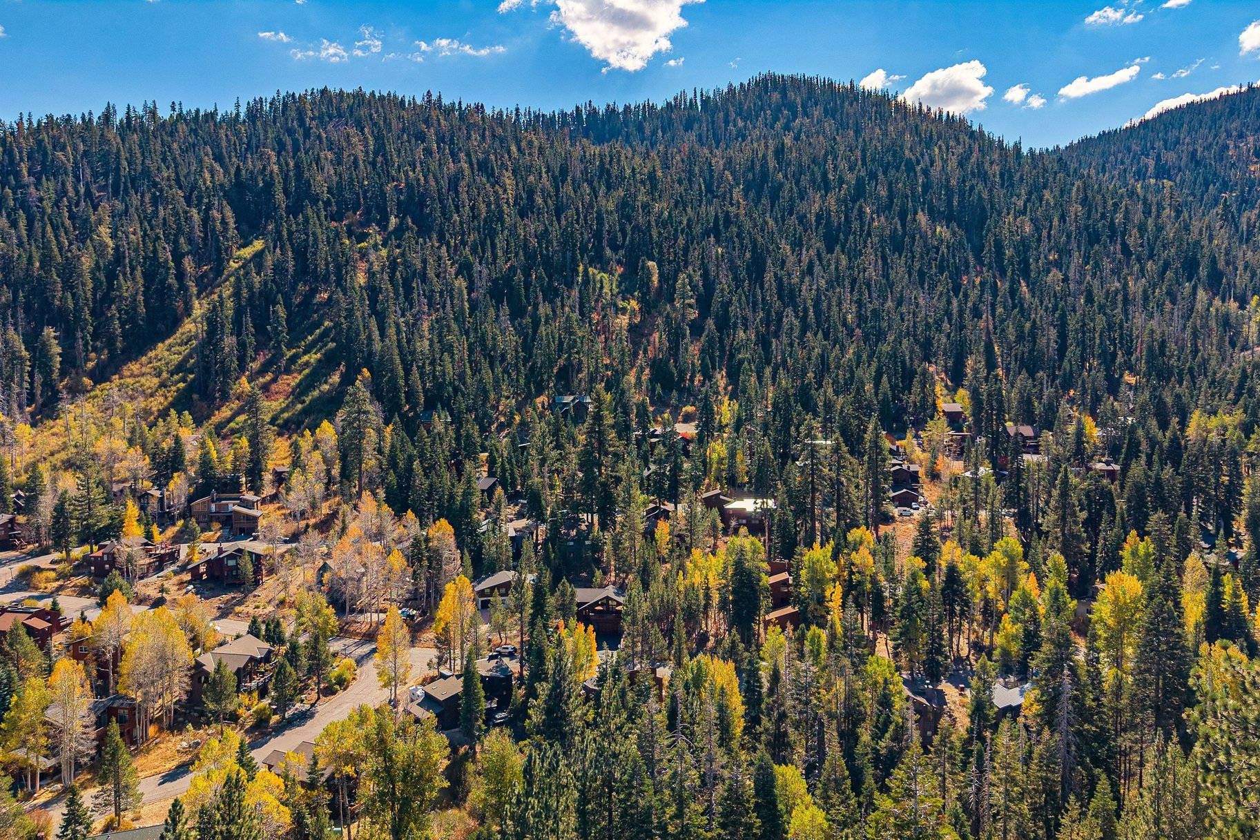  Alpine Meadows with Level Year Round Access - 物件實景