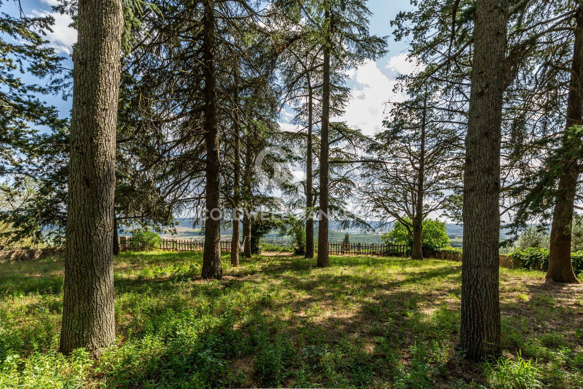 Strada Poggi, Orvieto, Terni, 05018, IT, 20 Bedrooms Bedrooms, ,10 BathroomsBathrooms,Residential,For Sale,Strada Poggi,1668933