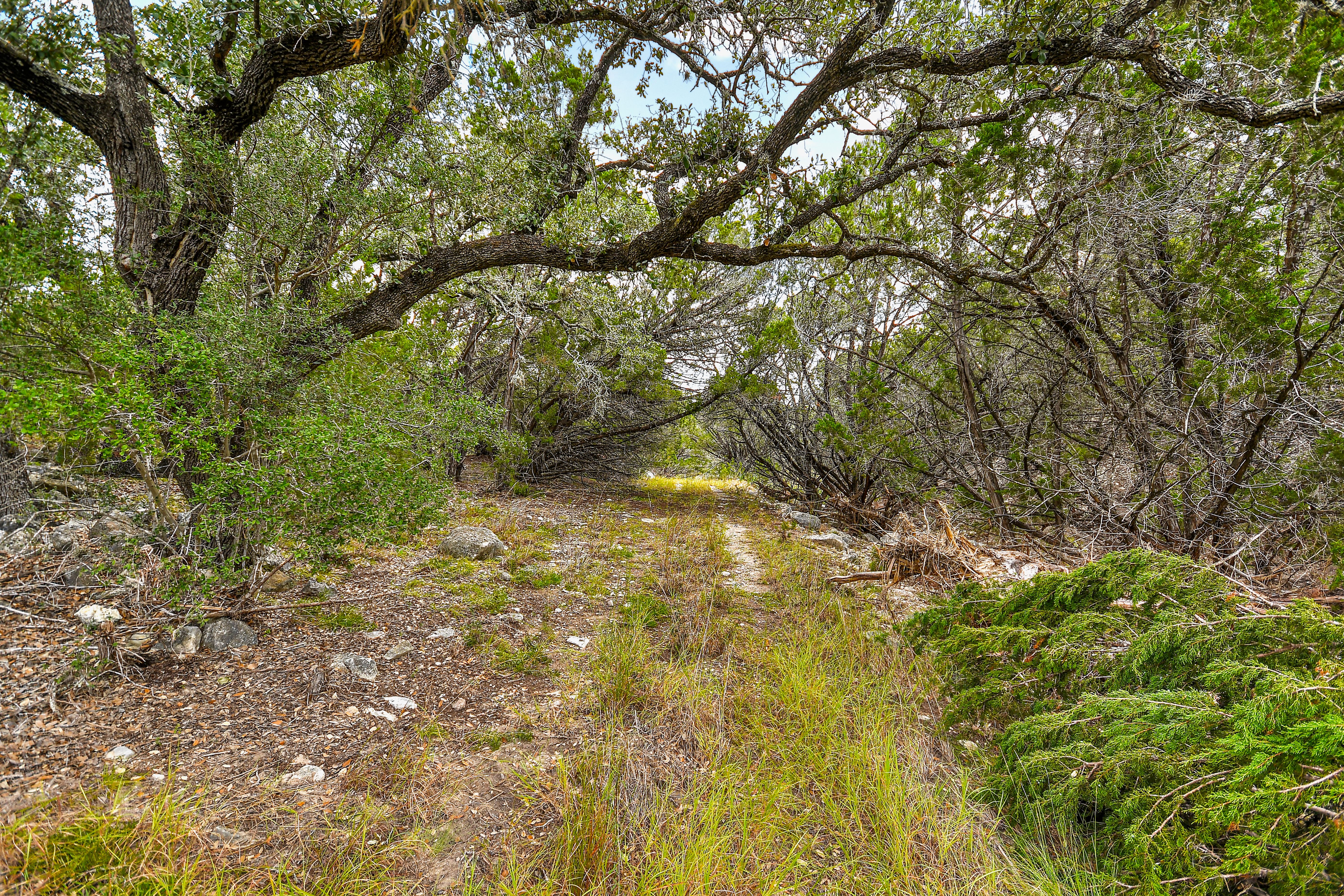  TBD Hwy 46 / Madrona Ranch Road, Pipe Creek, TX 78063 - 物件實景