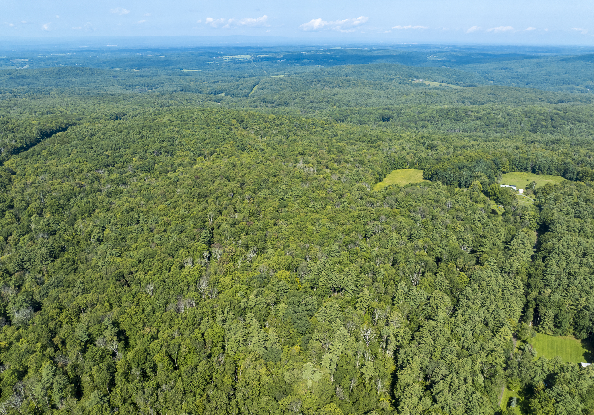  1,180+ Feet of Frontage: Privacy & Seclusion within Easy Reach of the Berkshires - 物件實景