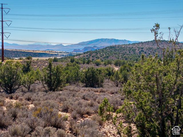 Diamond Valley, Utah, 84770, United States, ,Residential,For Sale,1982151