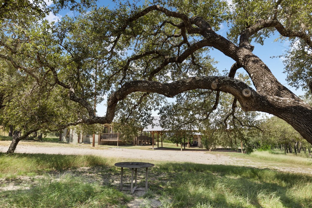Fredericksburg, Texas, 78624, United States, 3 Bedrooms Bedrooms, ,3 BathroomsBathrooms,Residential,For Sale,1943350