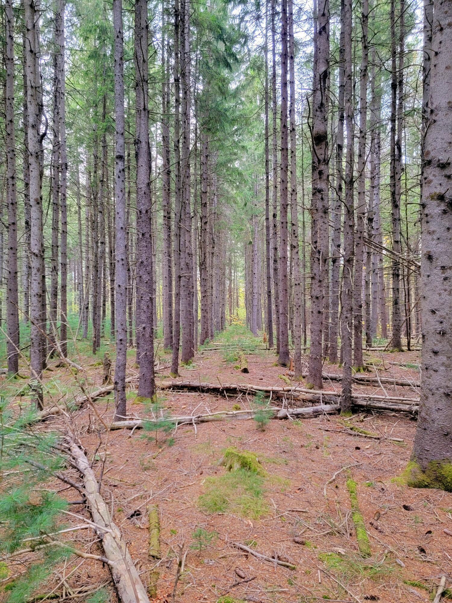 Farmington, Maine, 04938, United States, 5 Bedrooms Bedrooms, ,3 BathroomsBathrooms,Residential,For Sale,1960728