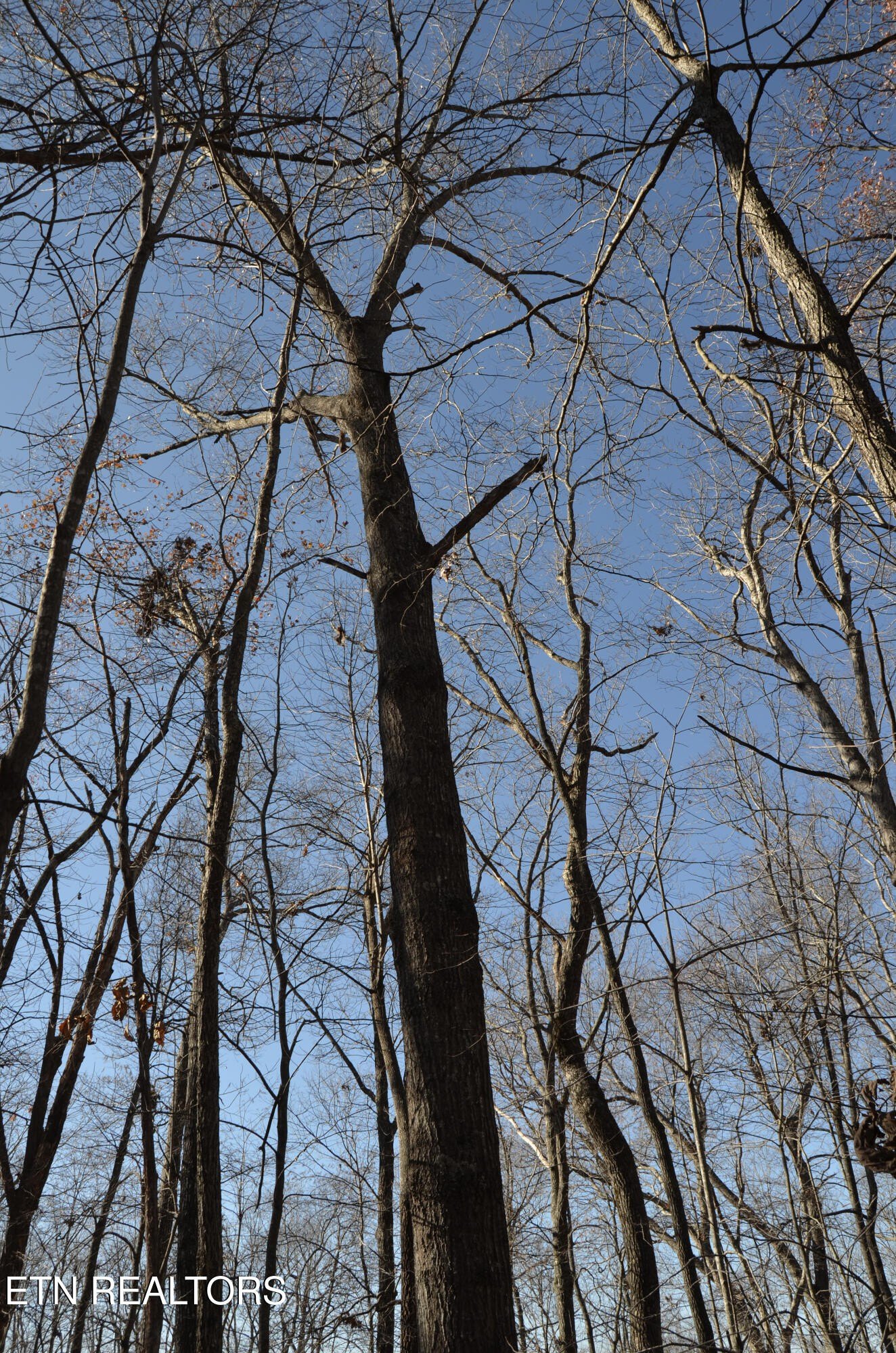 Crossville, Tennessee, 38555, United States, ,Land,For Sale,1978266