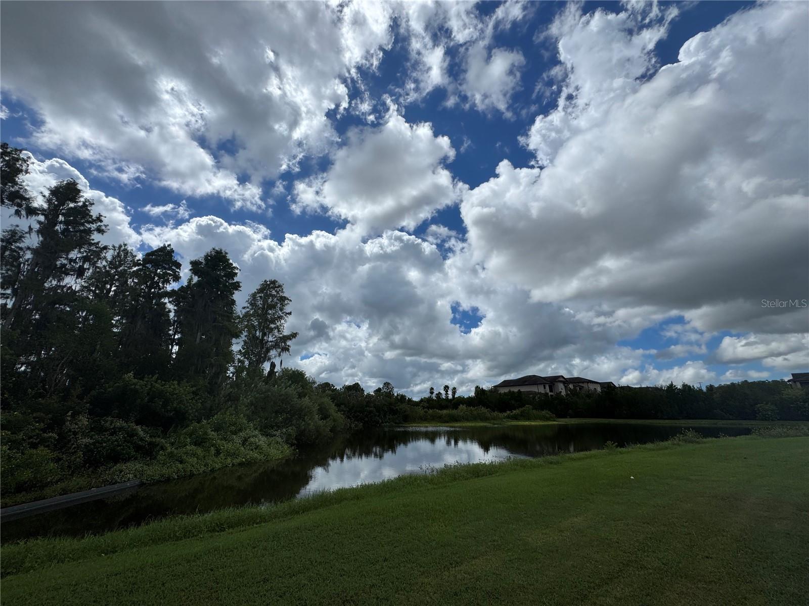 New Port Richey, Florida, 34655, United States, 5 Bedrooms Bedrooms, ,4 BathroomsBathrooms,Residential,For Sale,1979435