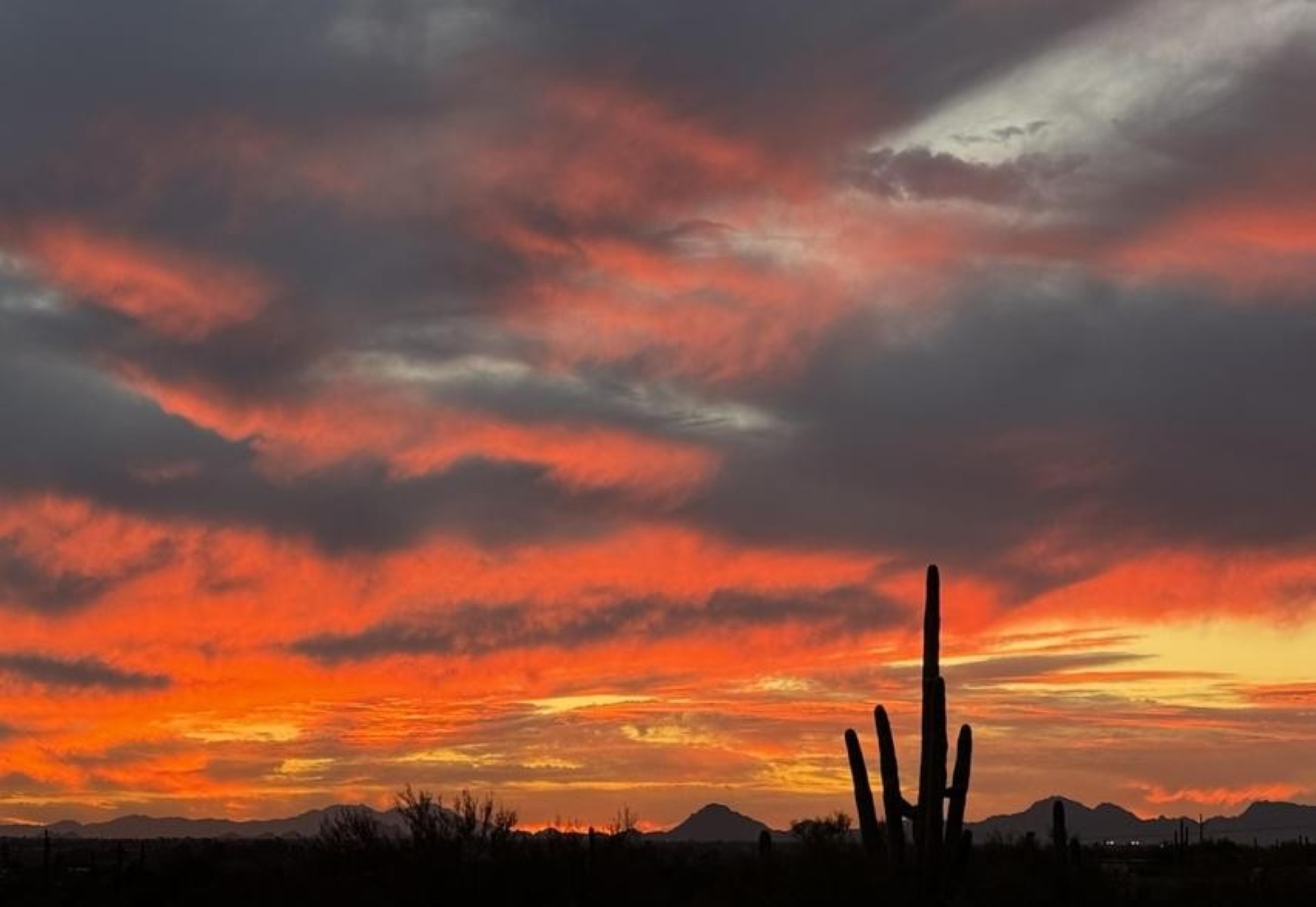  12058 E Placita Rancho Soldados, Tucson, AZ 85749 - 物件實景