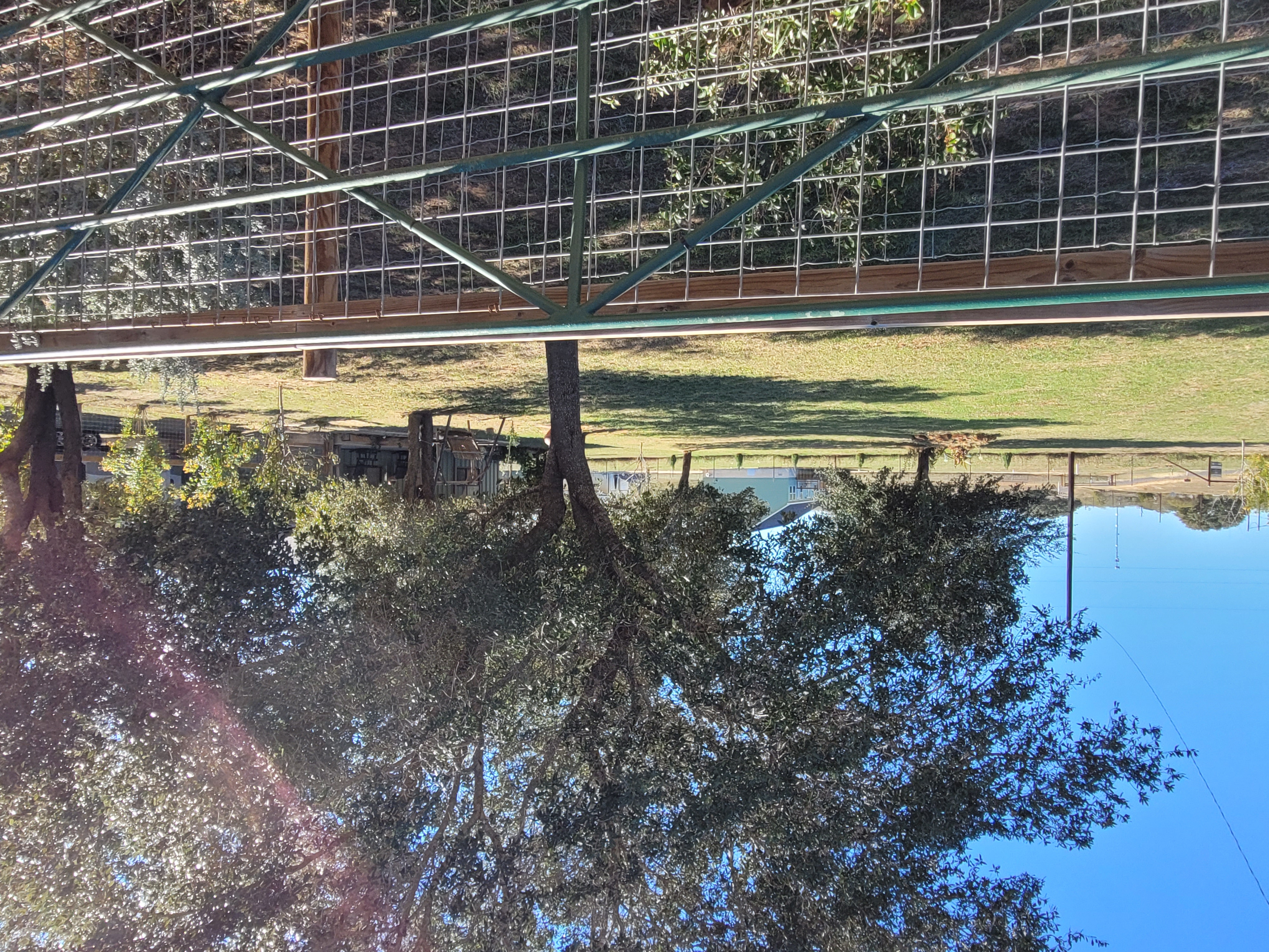 Stockdale, Texas, 78160, United States, 2 Bedrooms Bedrooms, ,1 BathroomBathrooms,Residential,For Sale,1990208