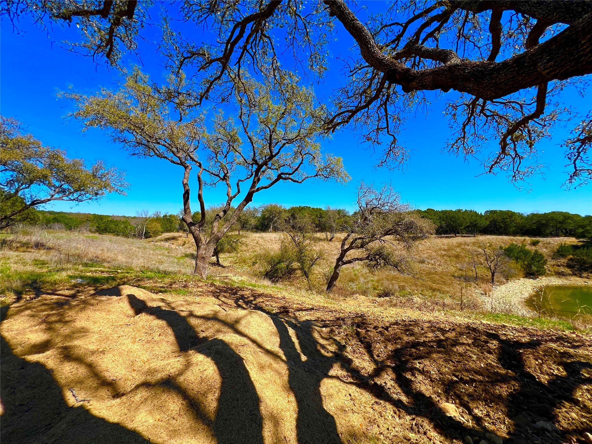 Possum Kingdom Lake, Texas, 76450, United States, ,Residential,For Sale,2030738