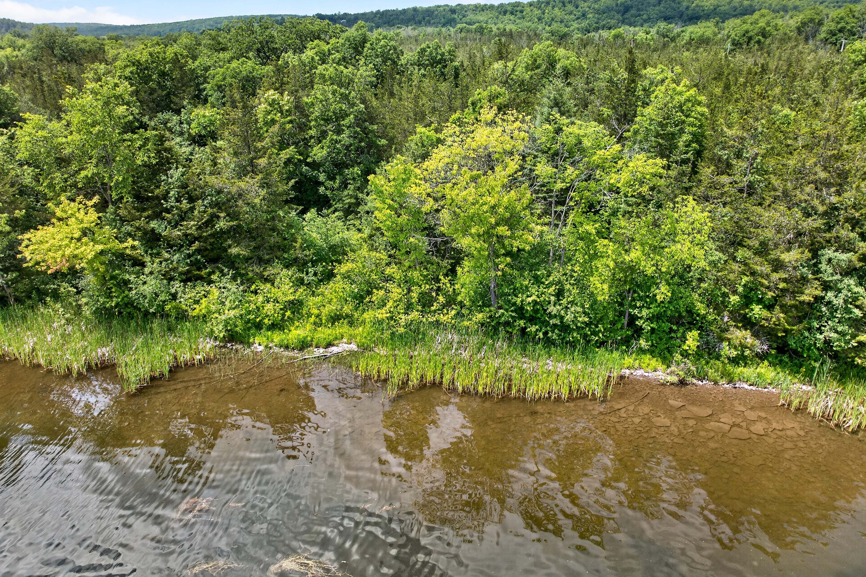 Trent Hills, Eastern Ontario - 物件實景