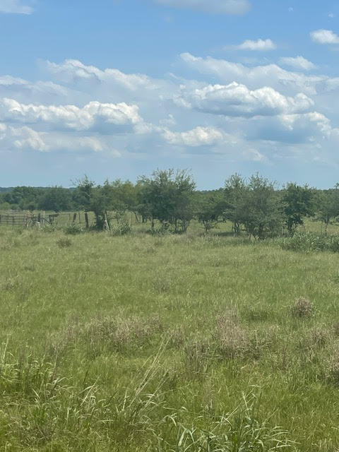 Holland, Texas, 76534, United States, ,Residential,For Sale,1994334