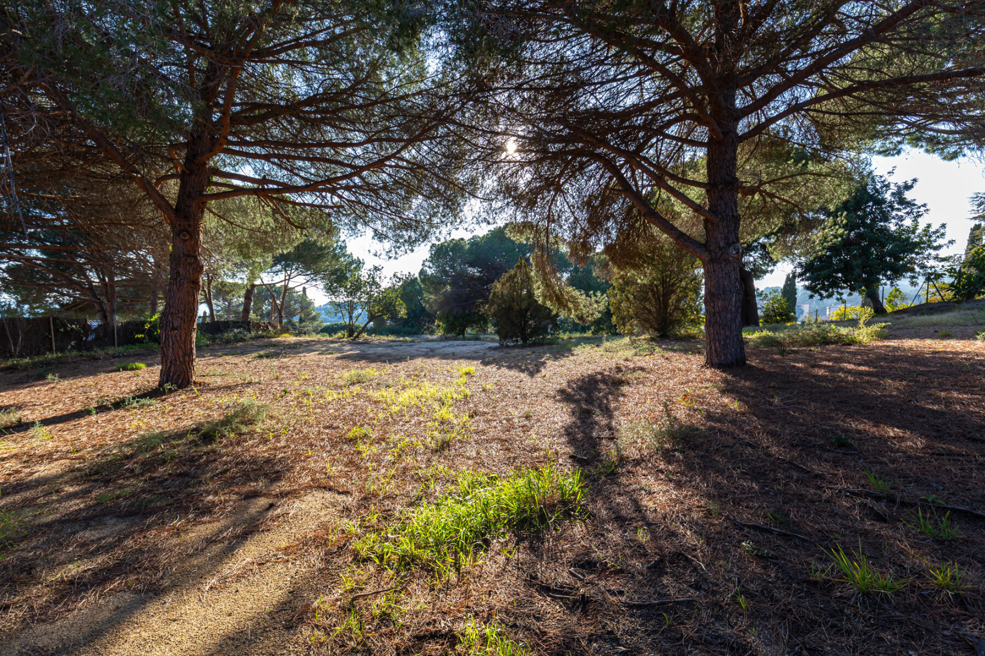  Sublime Project with ?Ready to build? license in Llavaneres - Costa BCN - 物件實景