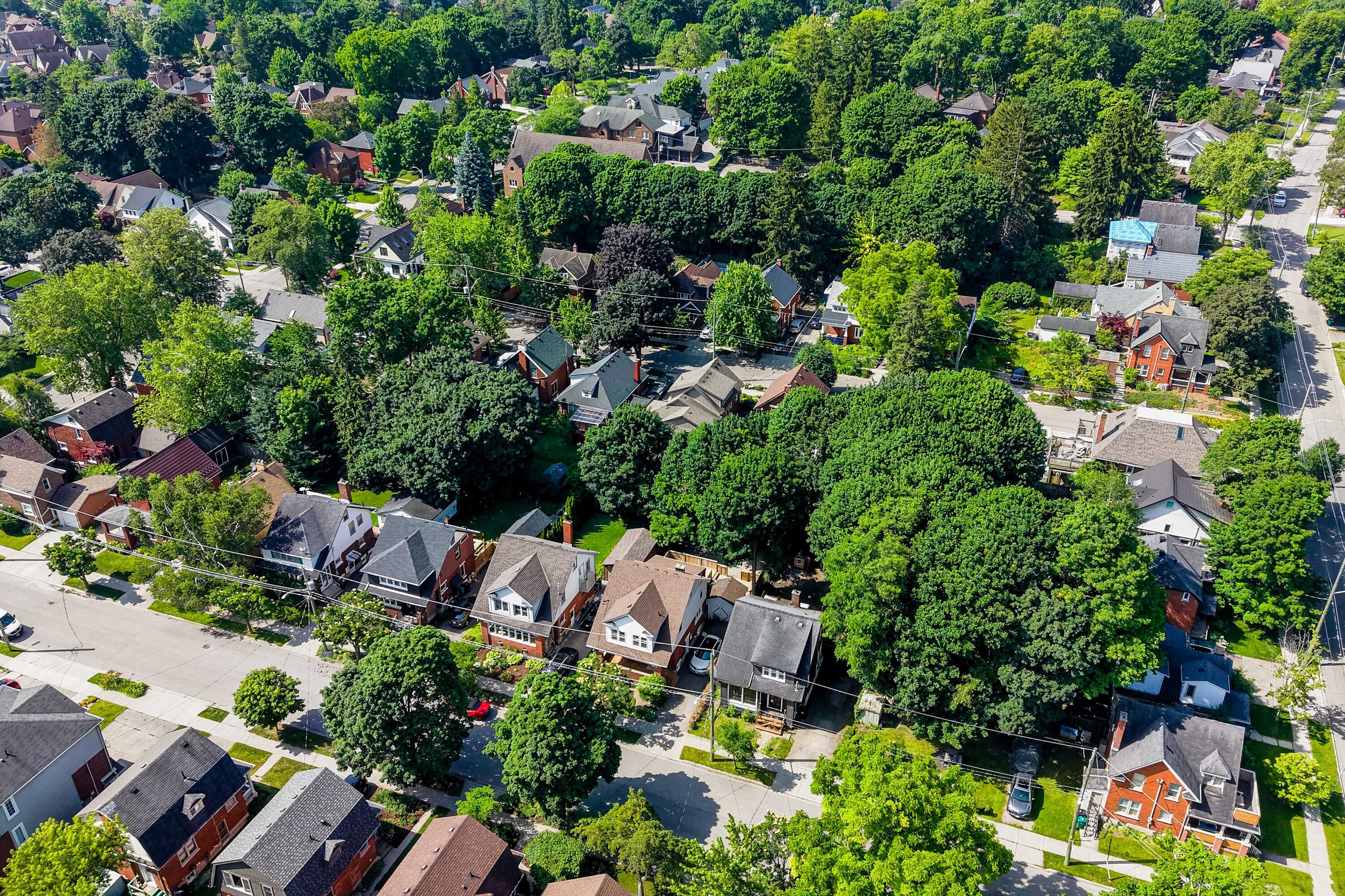  Uptown Waterloo Gem - 物件實景