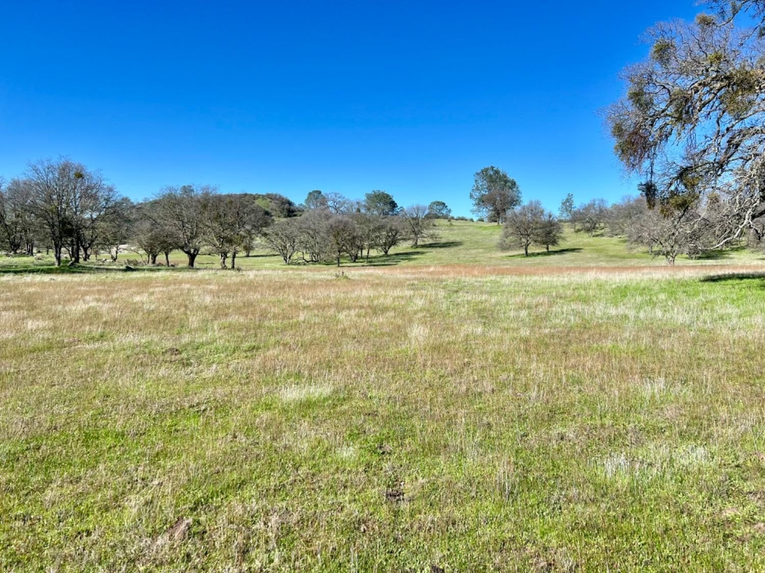 Burson, California, 95225, United States, ,Land,For Sale,1980133