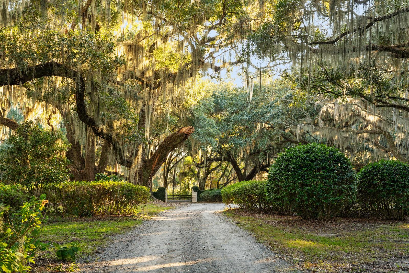 Yemassee, South Carolina, 29945, United States, 6 Bedrooms Bedrooms, ,7 BathroomsBathrooms,Residential,For Sale,1989284