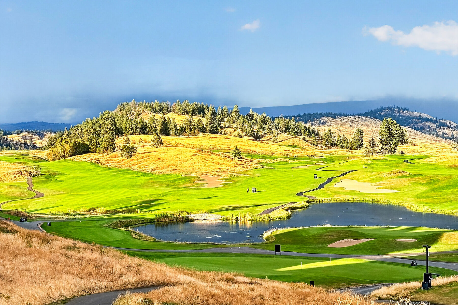  Vernon, Thompson & Okanagan - 物件實景