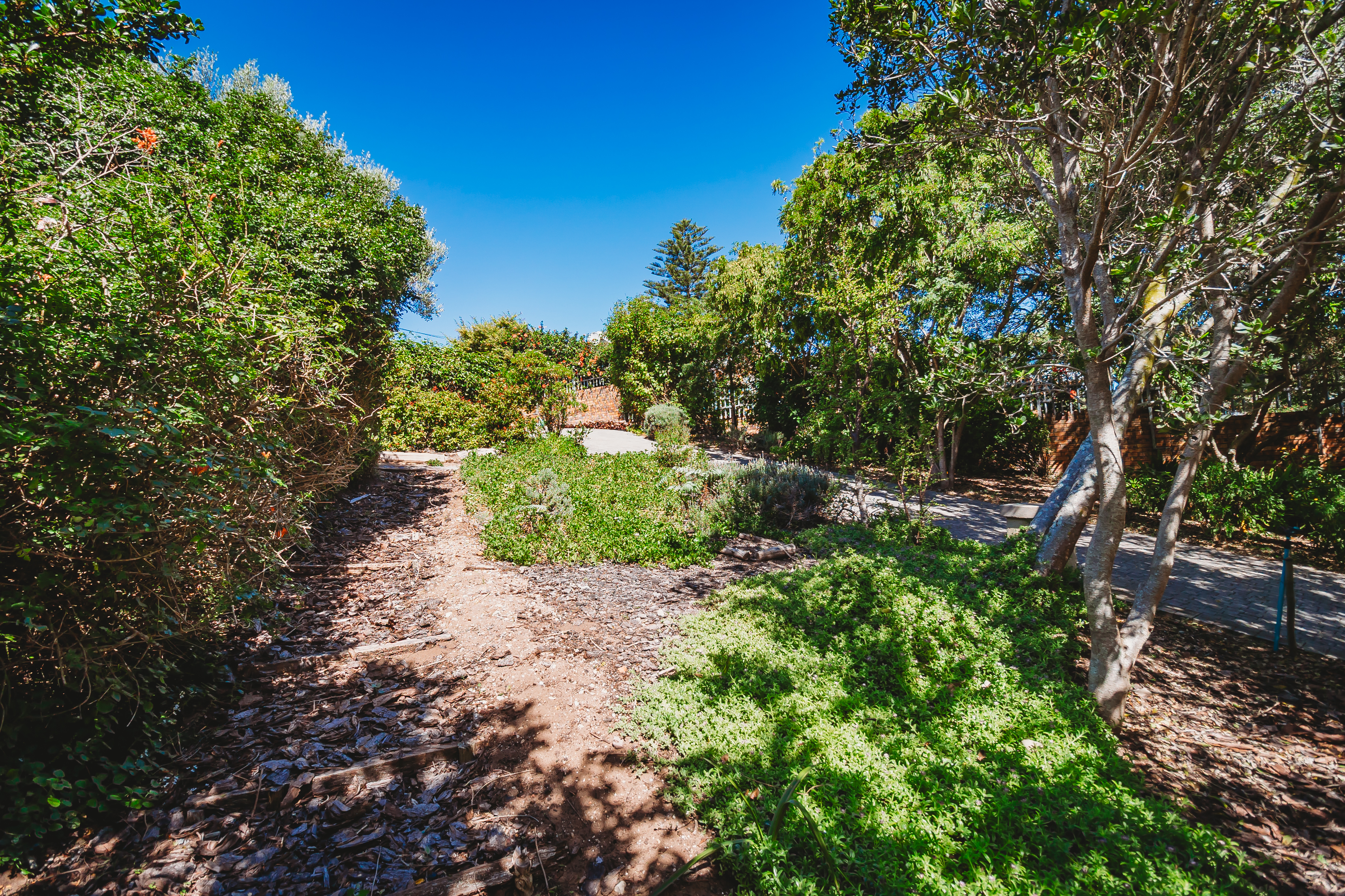  Wilderness East - 物件實景