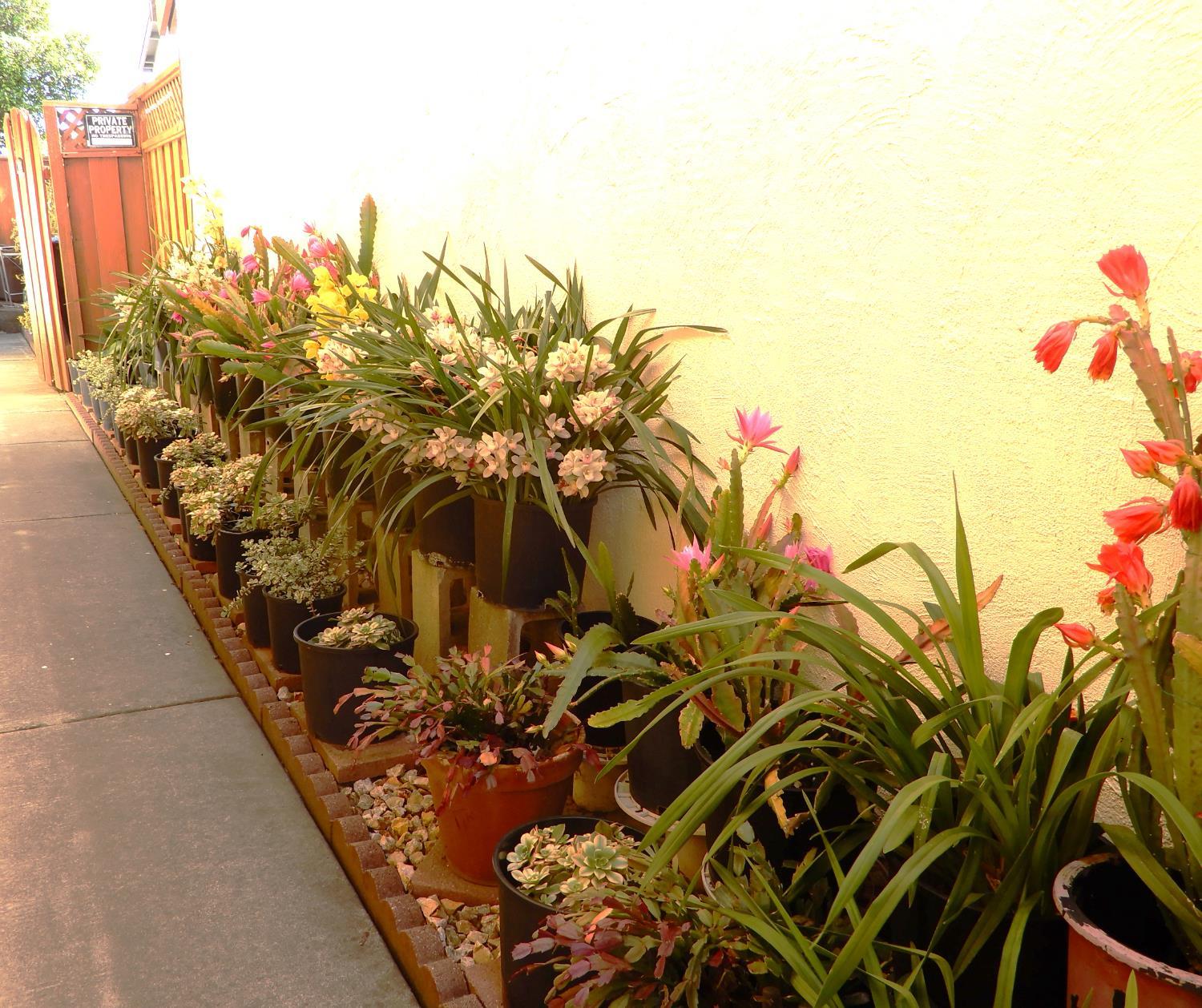 San Jose, California, 95116, United States, 4 Bedrooms Bedrooms, ,3 BathroomsBathrooms,Residential,For Sale,2038368