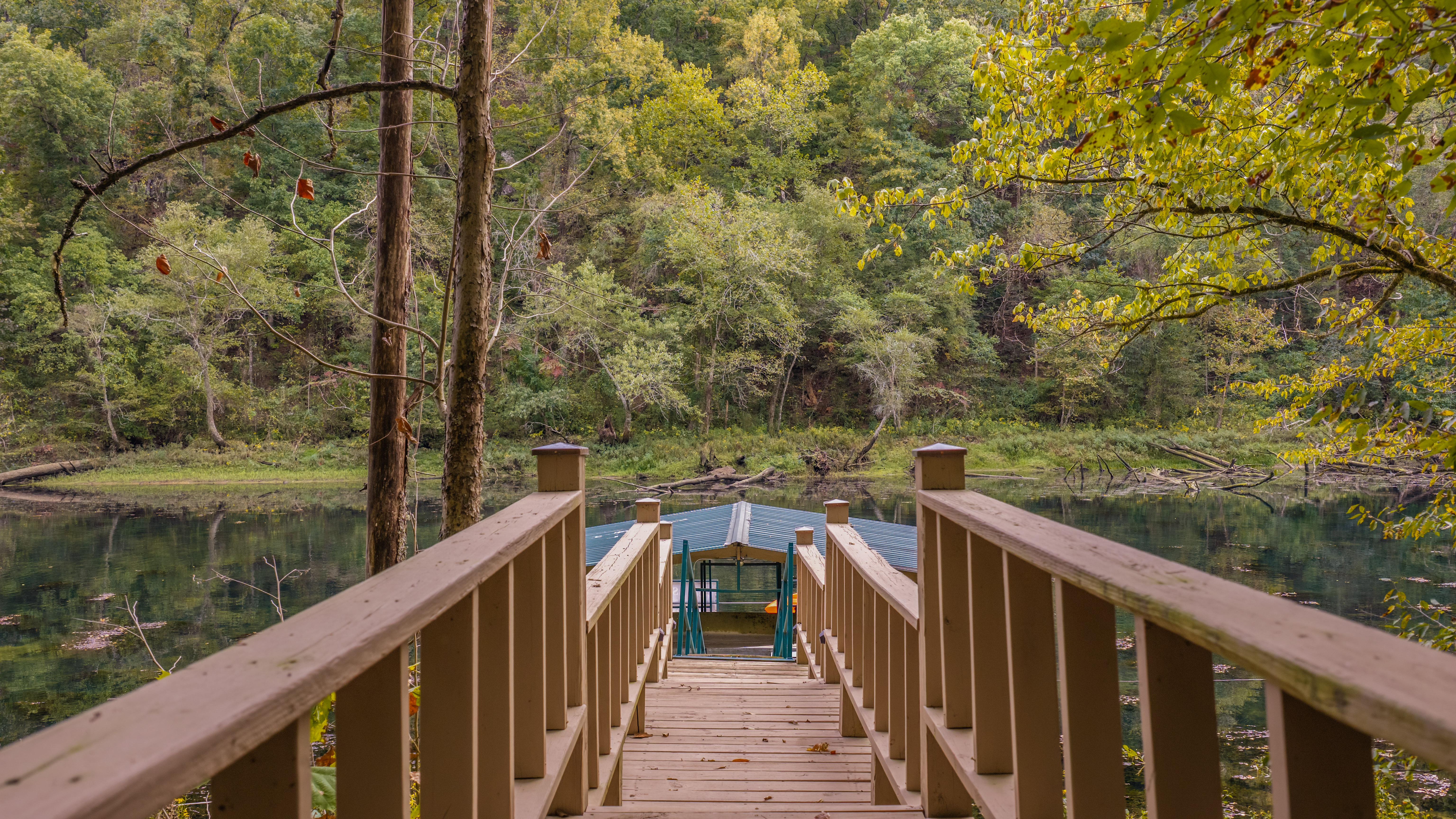  Tailwater Lodge - 物件實景