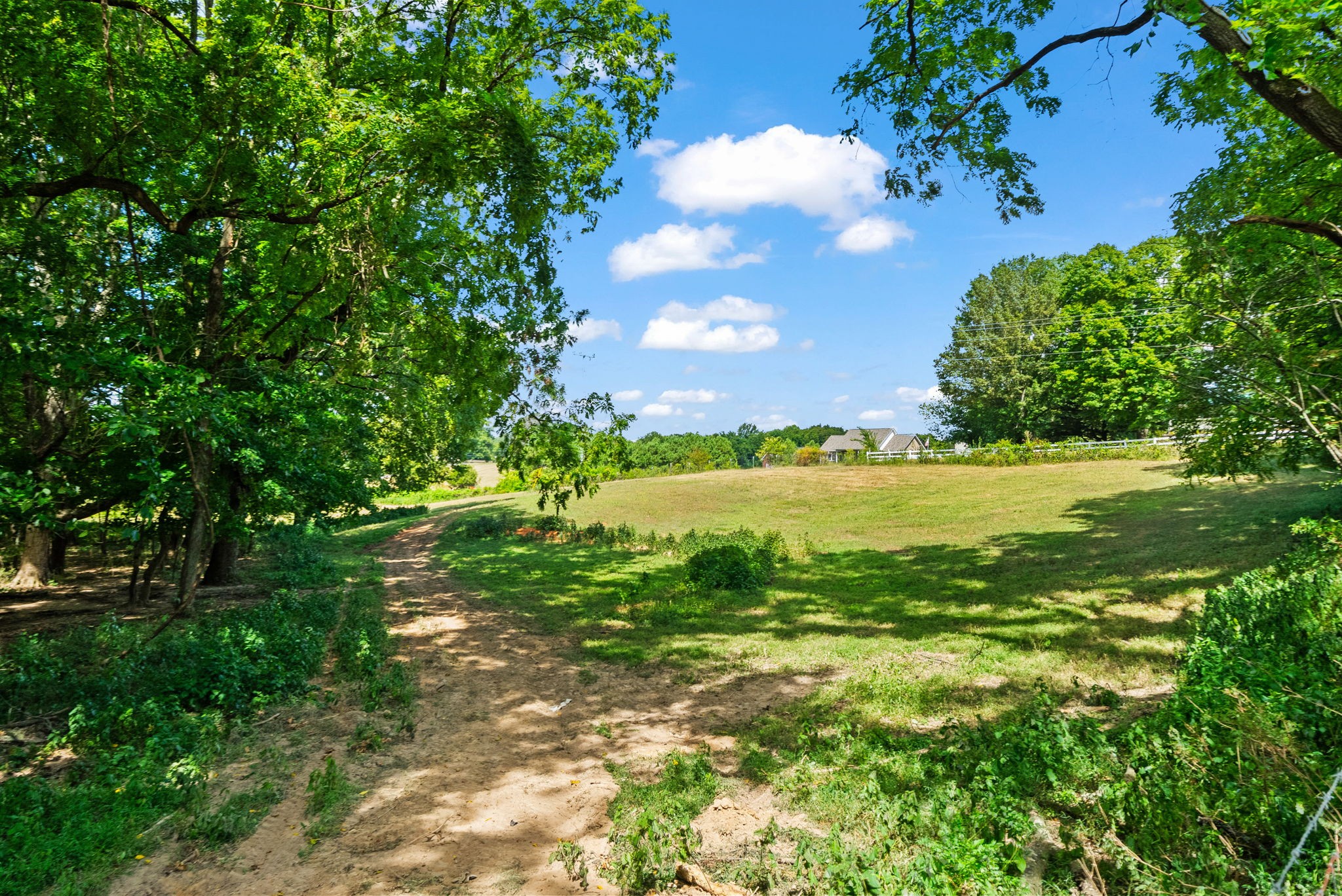 Cedar Hill, Tennessee, 37032, United States, 3 Bedrooms Bedrooms, ,2 BathroomsBathrooms,Residential,For Sale,1981088
