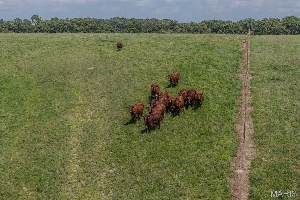 Lebanon, Missouri, 65536, United States, ,Residential,For Sale,1983425