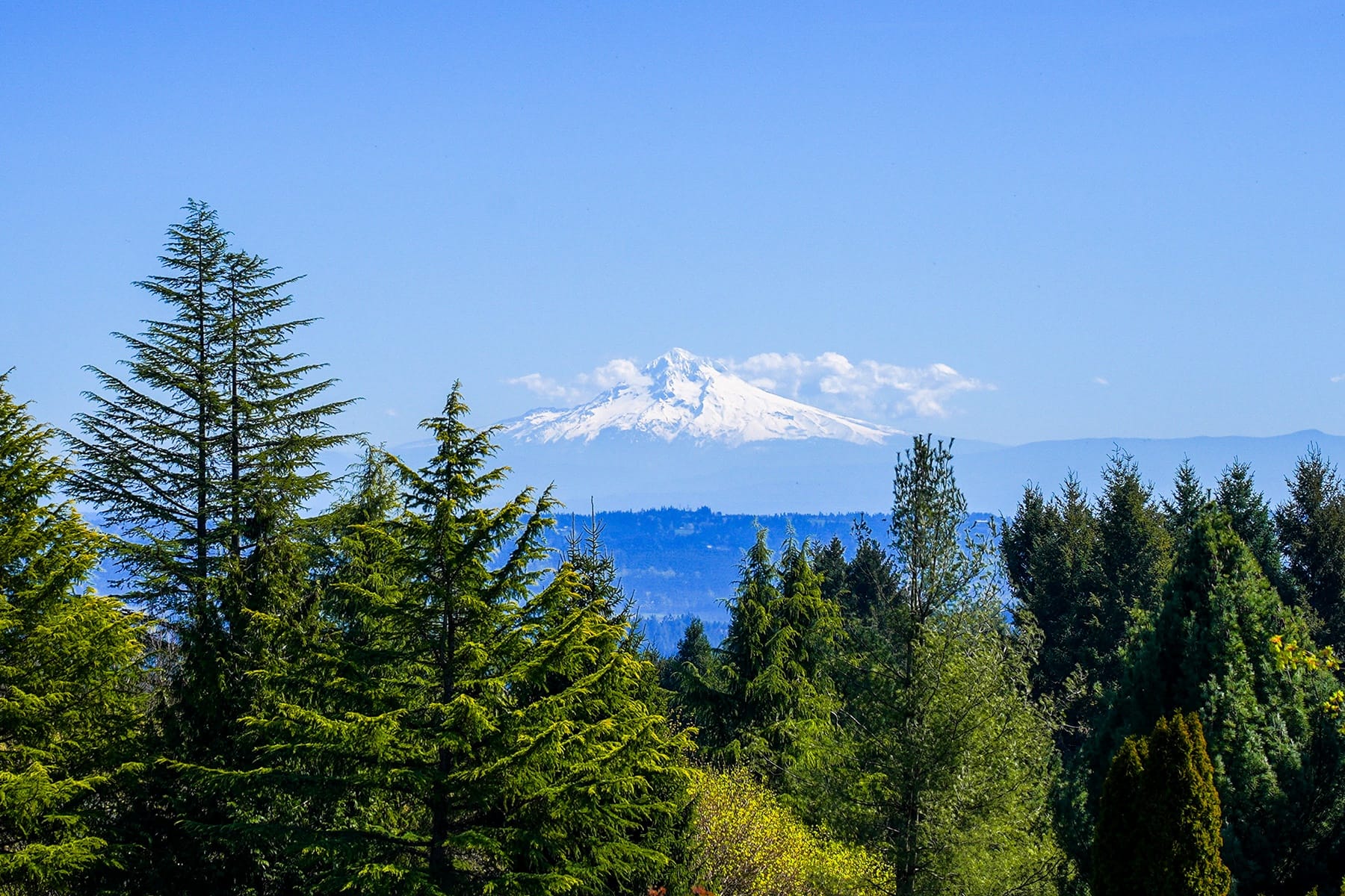  NE Mountain Home RD Sherwood, OR 97140 - 物件實景