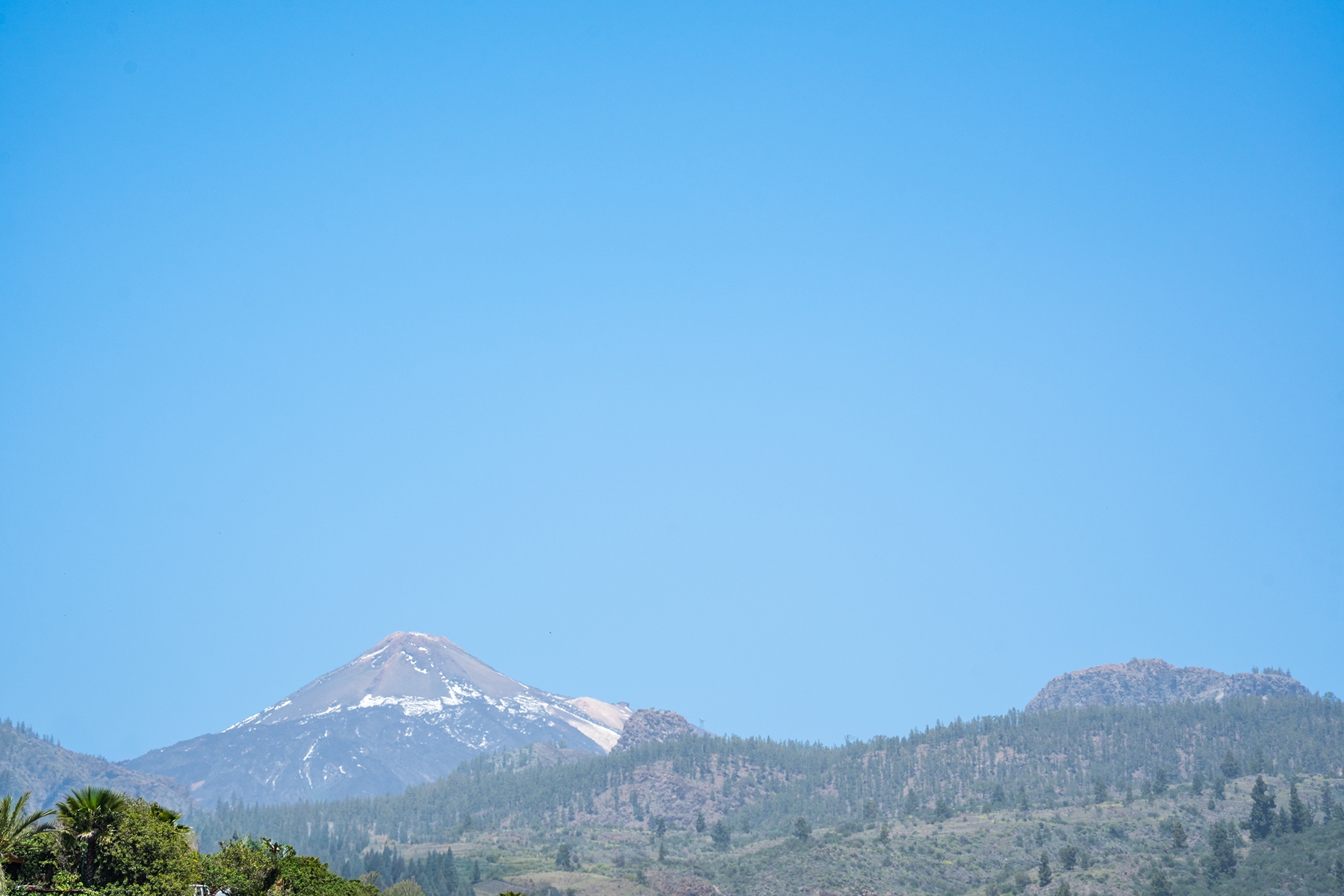  Traditional Agricultural Estate with Winery in Tenerife South - 物件實景