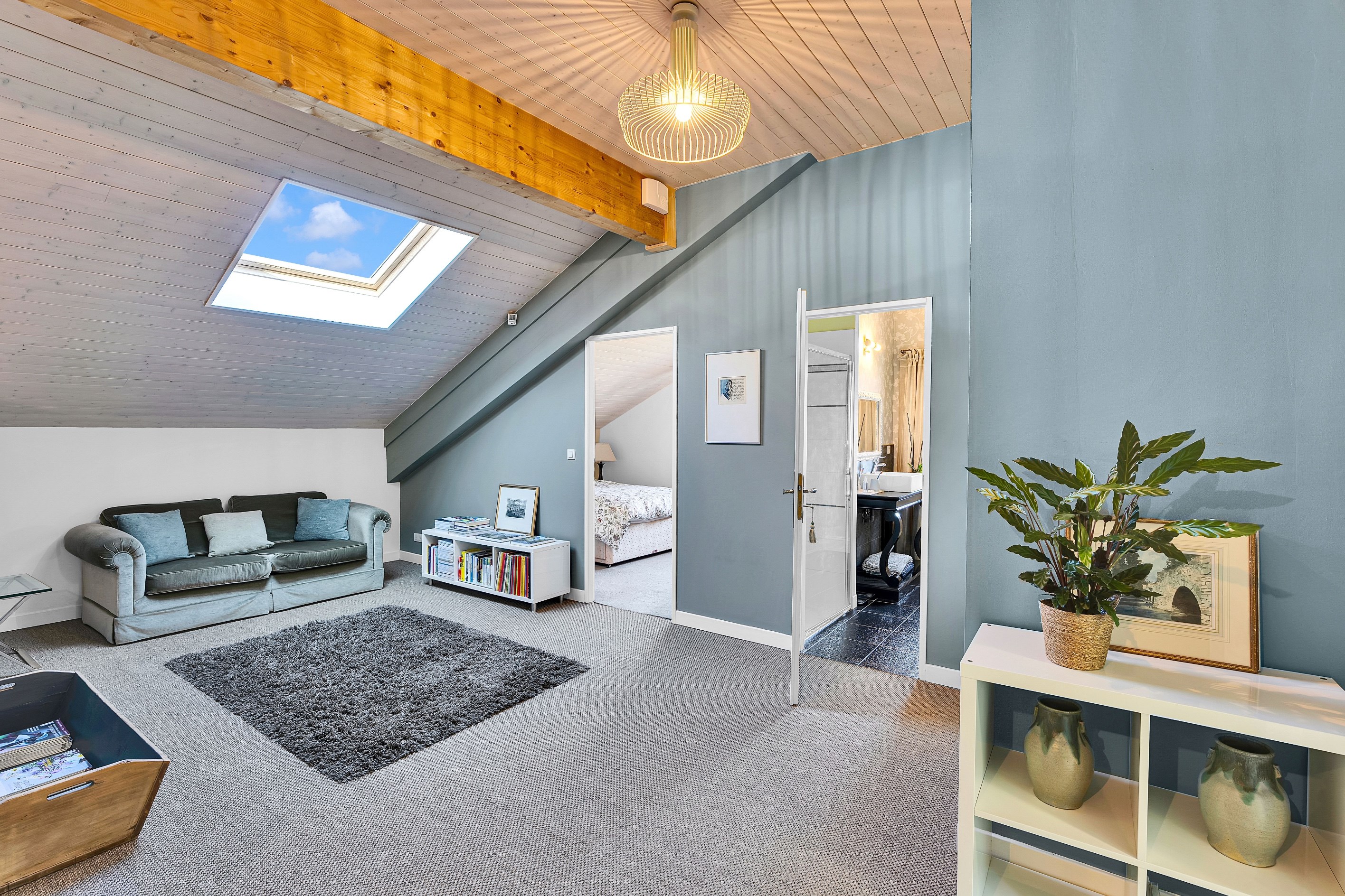  The former farmhouse, full of authentic charm in Divonne Les Bains - 物件實景