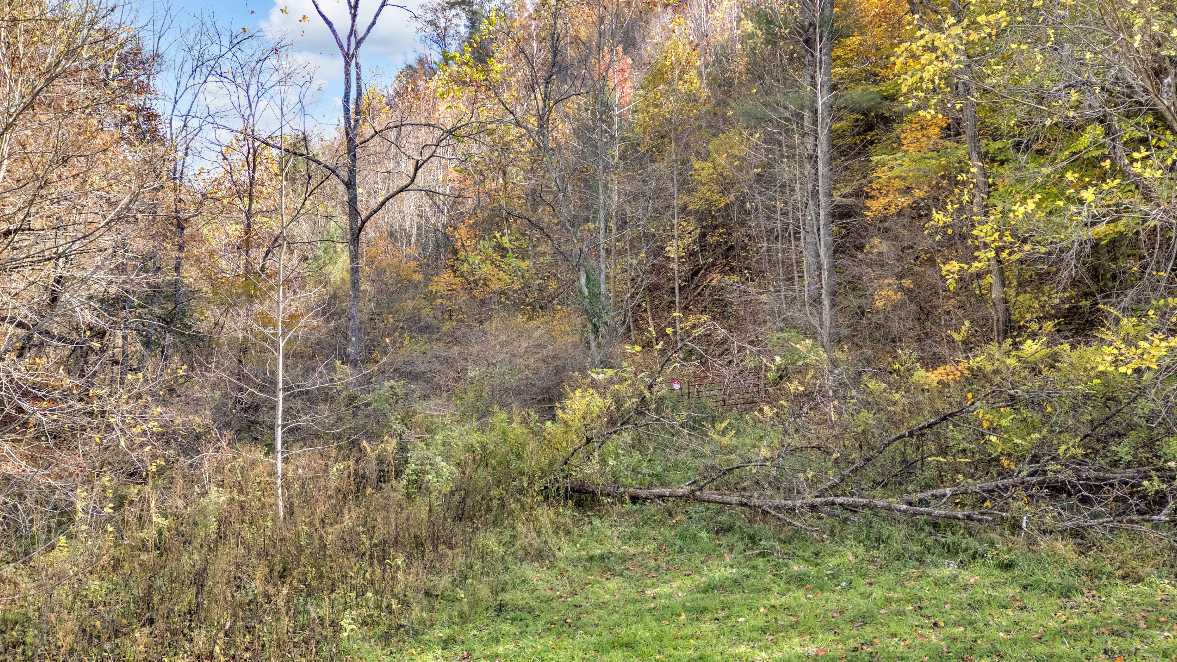  TBD Highway 91, Laurel Bloomery, TN, 37680 - 物件實景