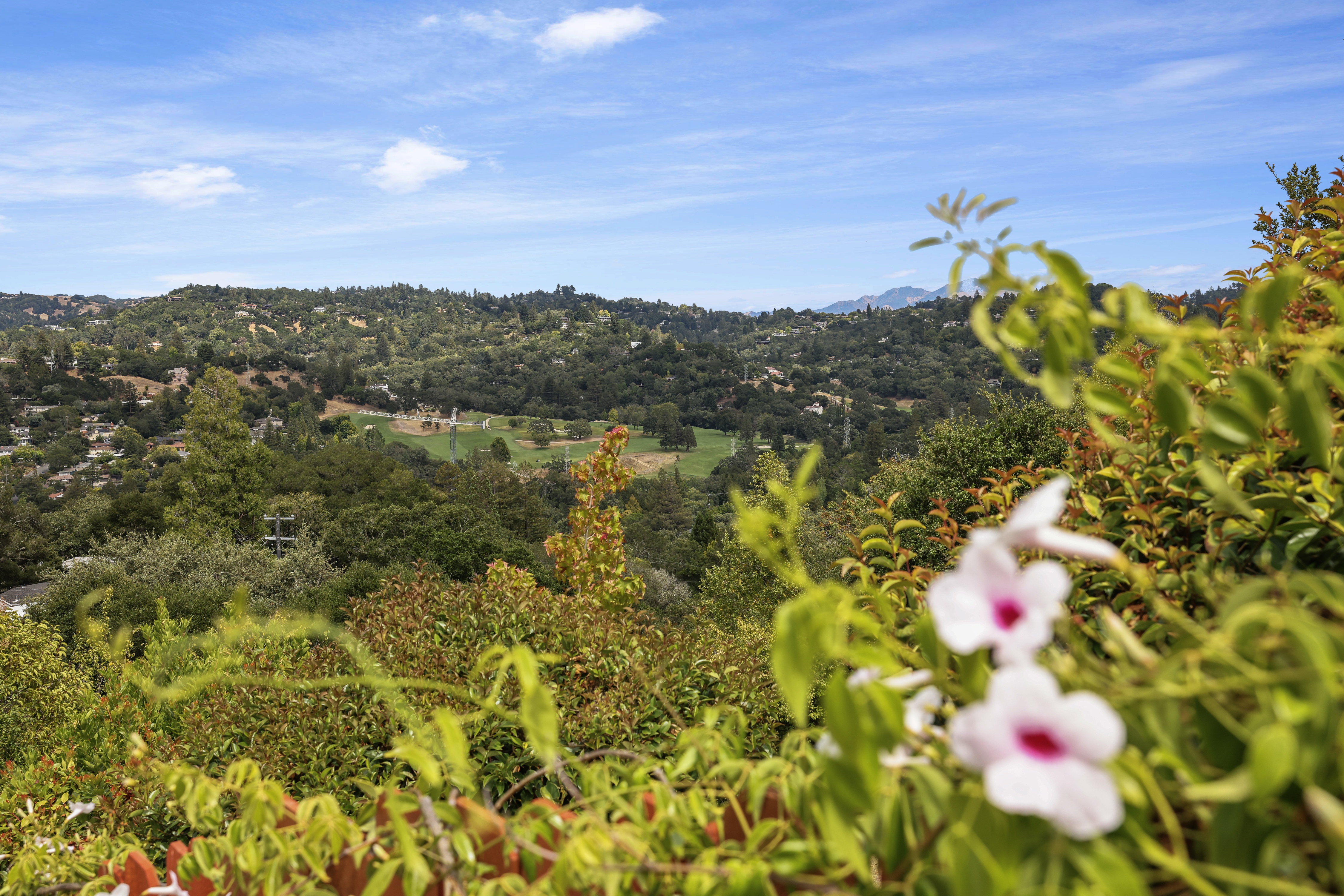  Breathtaking Contemporary Retreat with Golf Course and Mount Diablo Views - 物件實景