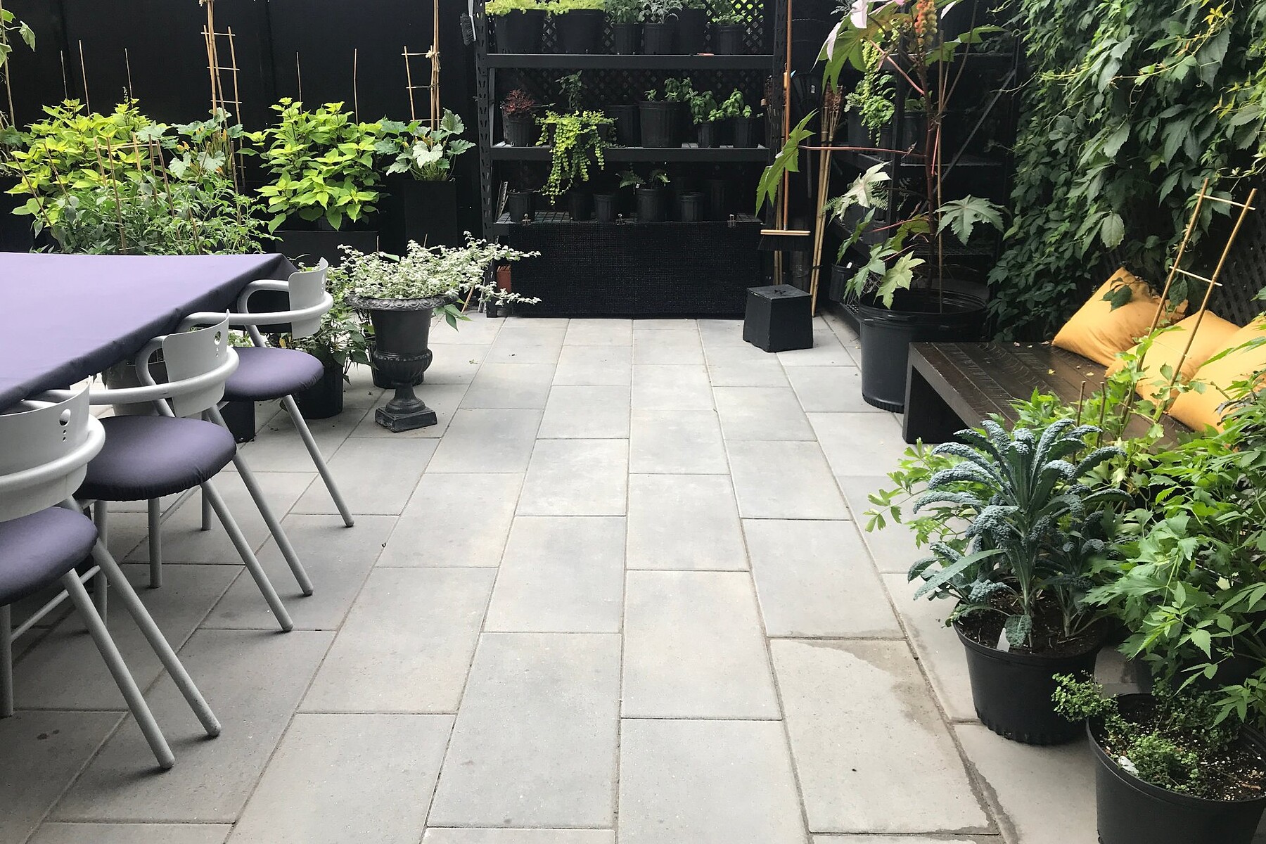  Ahuntsic-Cartierville, Montréal - 物件實景