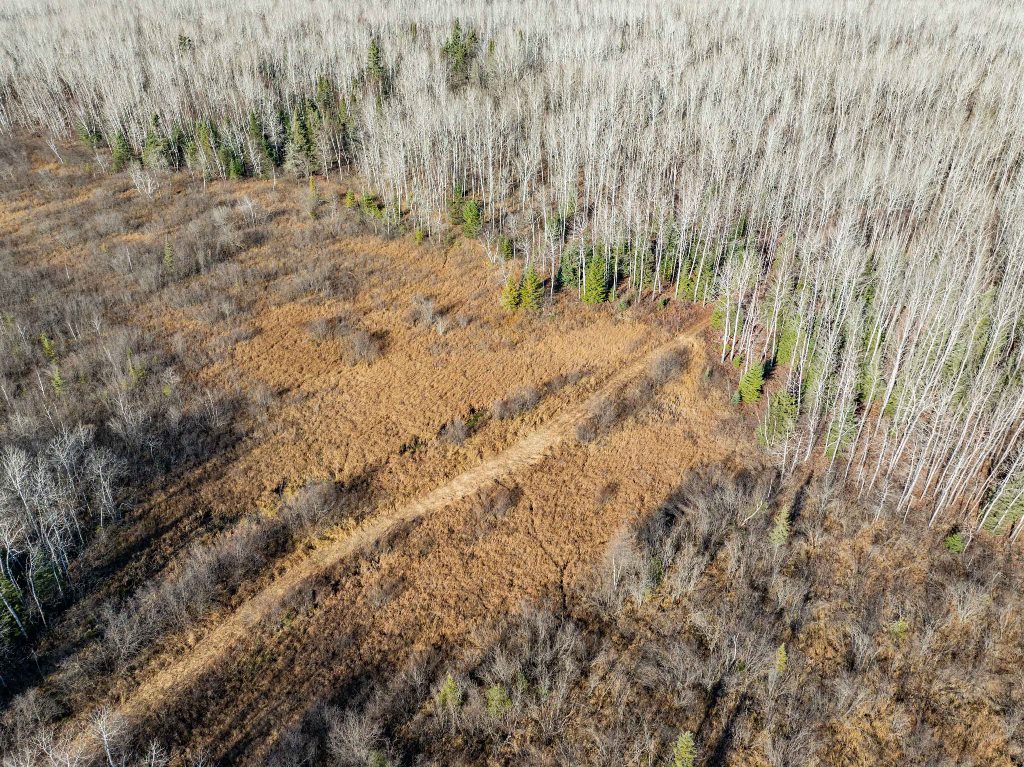 Grand Rapids, Minnesota, 55744, United States, ,Land,For Sale,1983791