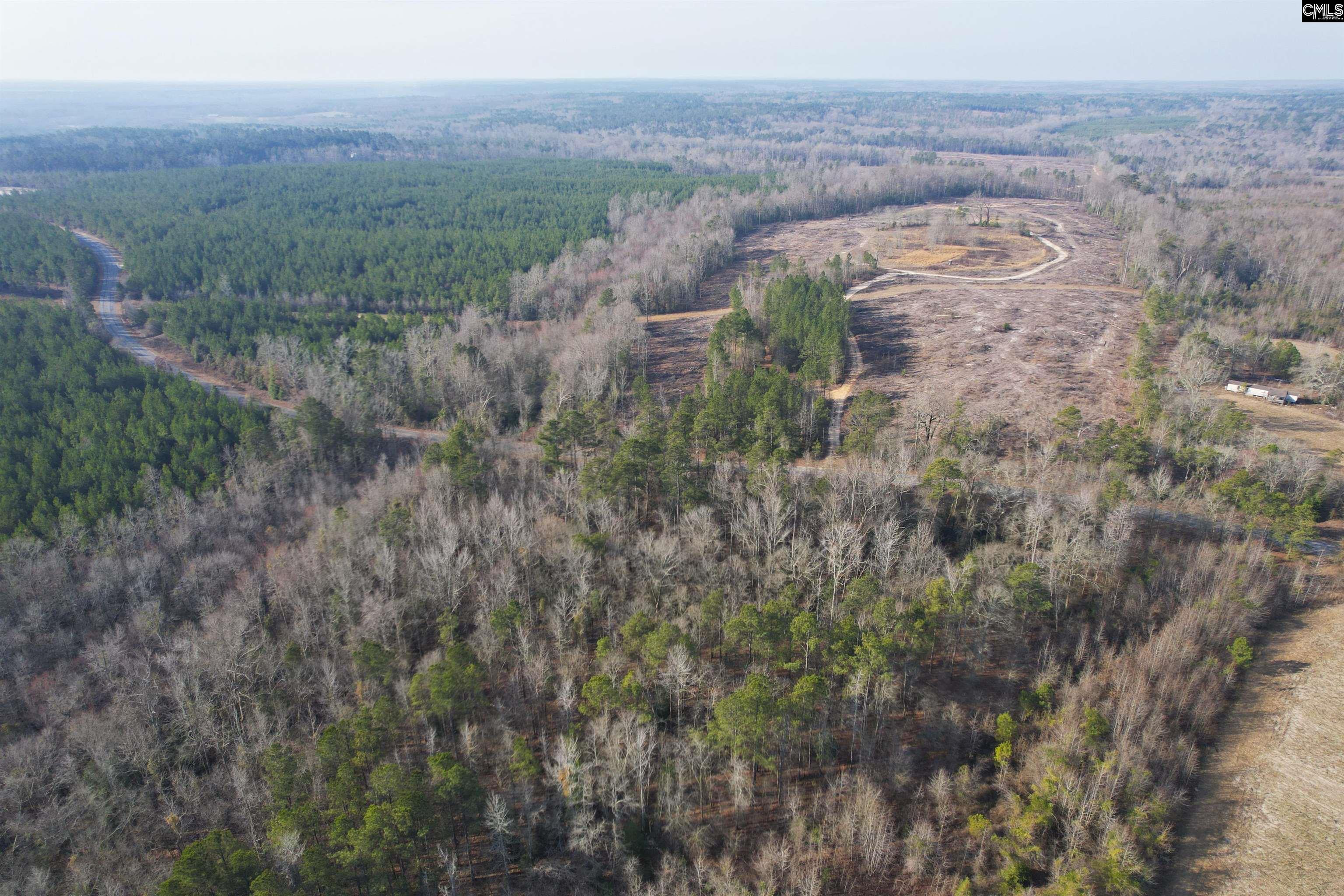 703 Neds Creek Road, Kershaw, South Carolina, 29067, United States, ,Land,For Sale,703 Neds Creek Road,1669372