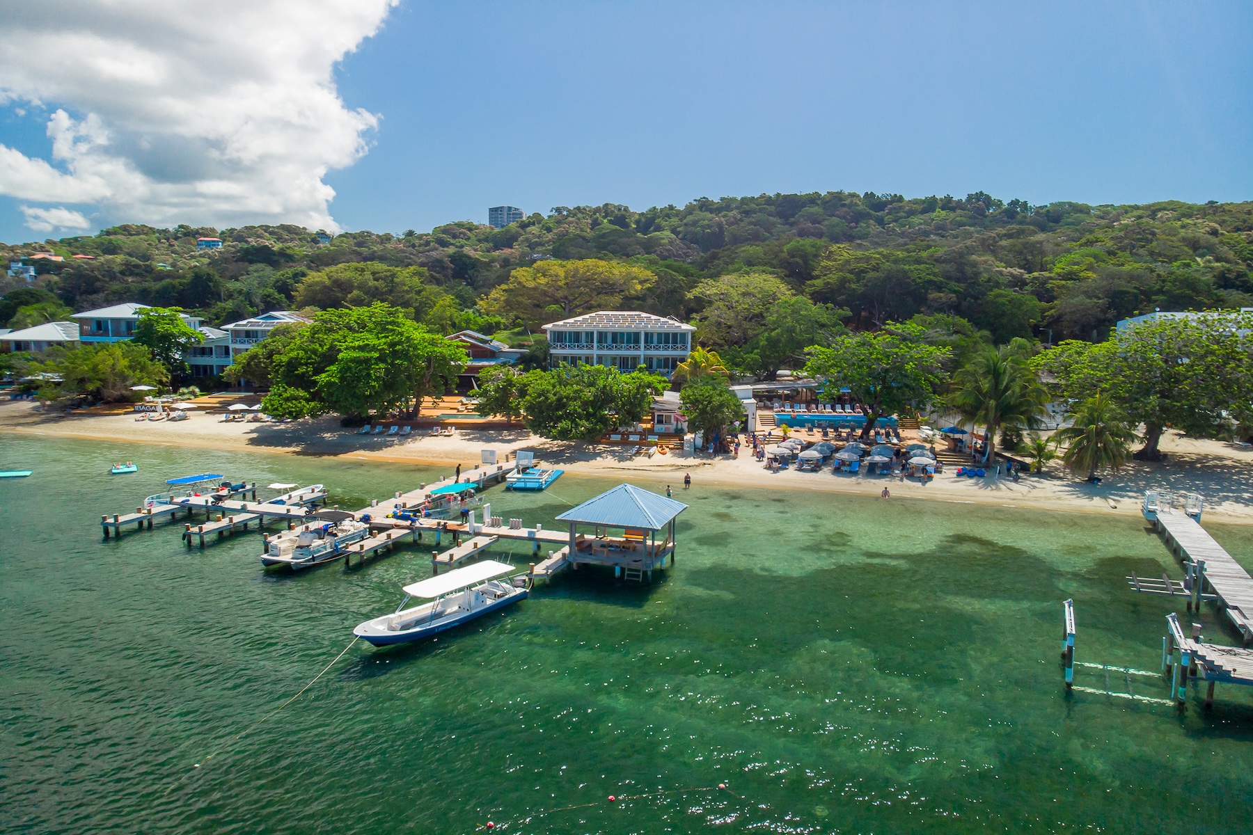  B1 Blue Roatan Condominium, Between West End & West Bay - 物件實景