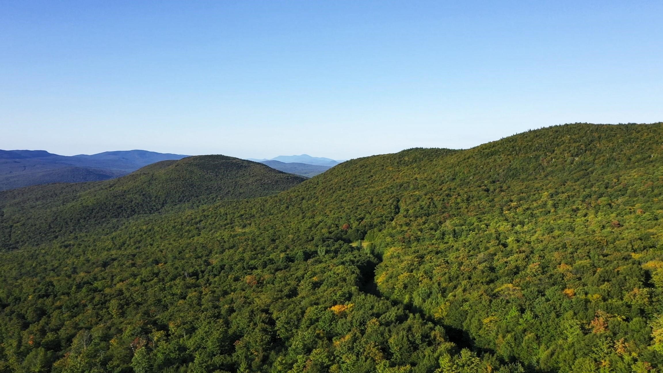 Jay, Vermont, 05859, United States, ,Land,For Sale,1999221