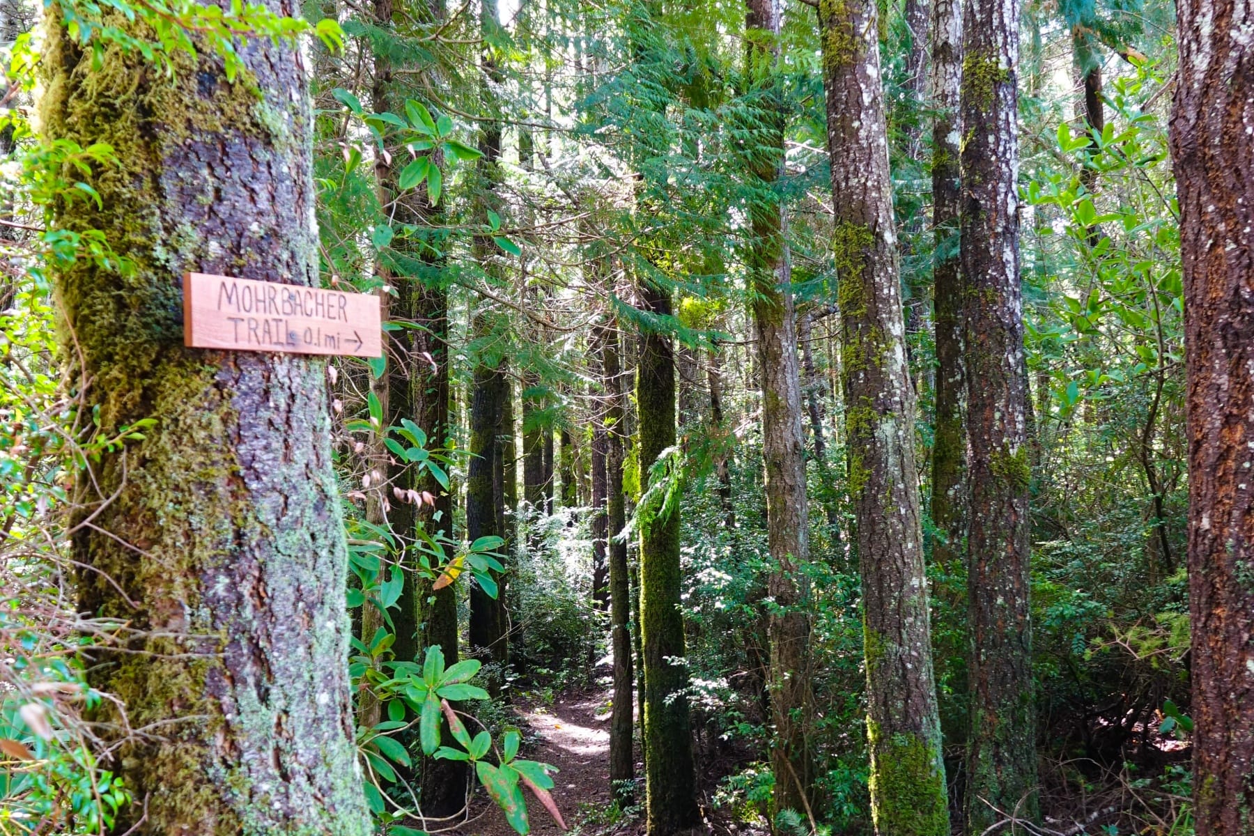  87444 WHISTLING LN Bandon, OR 97411 - 物件實景