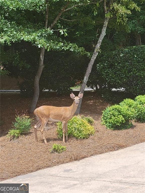 Cumming, Georgia, 30041, United States, 4 Bedrooms Bedrooms, ,4 BathroomsBathrooms,Residential,For Sale,1929935