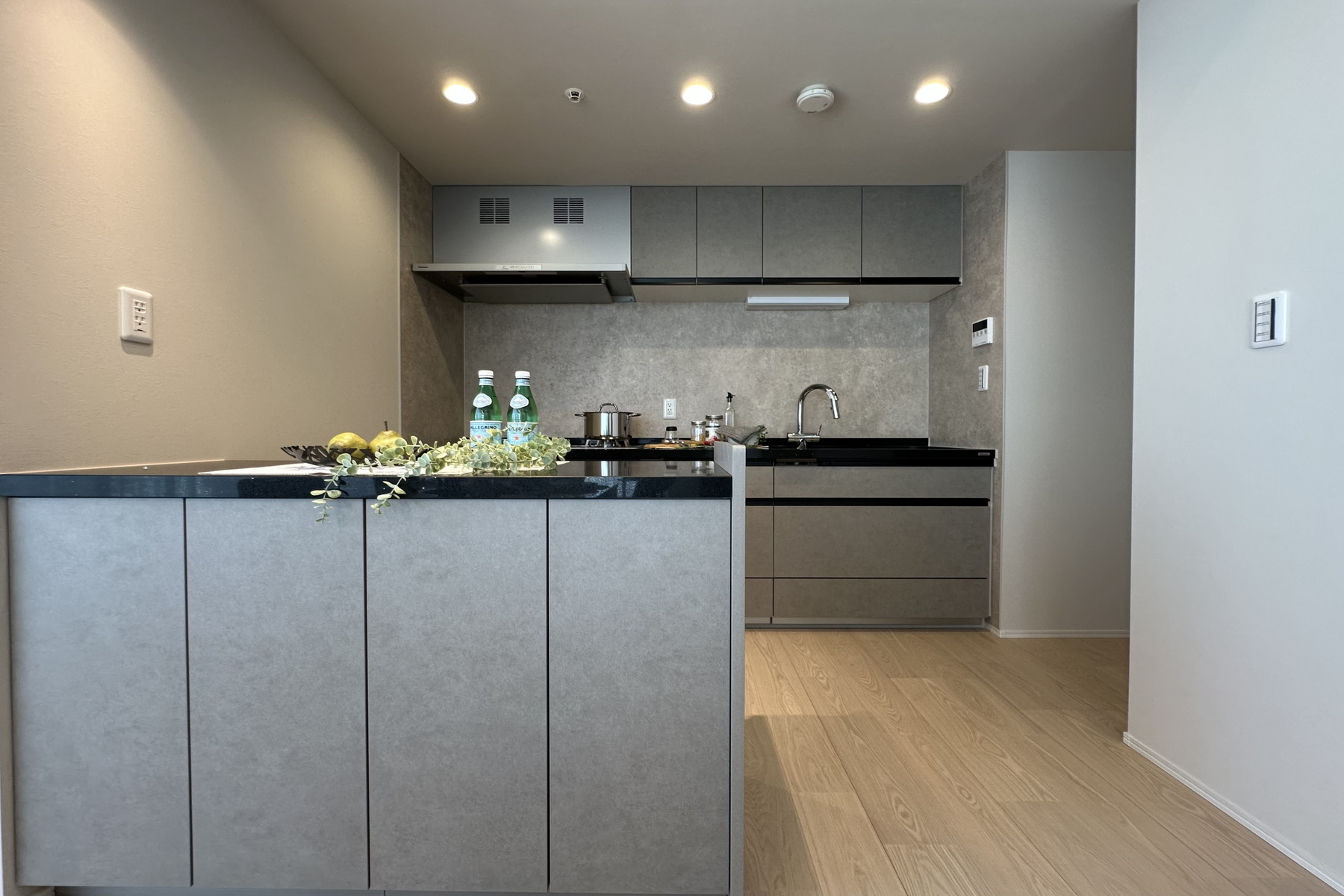  AKASAKA TOWER RESIDENCE TOP OF THE HILL - 物件實景