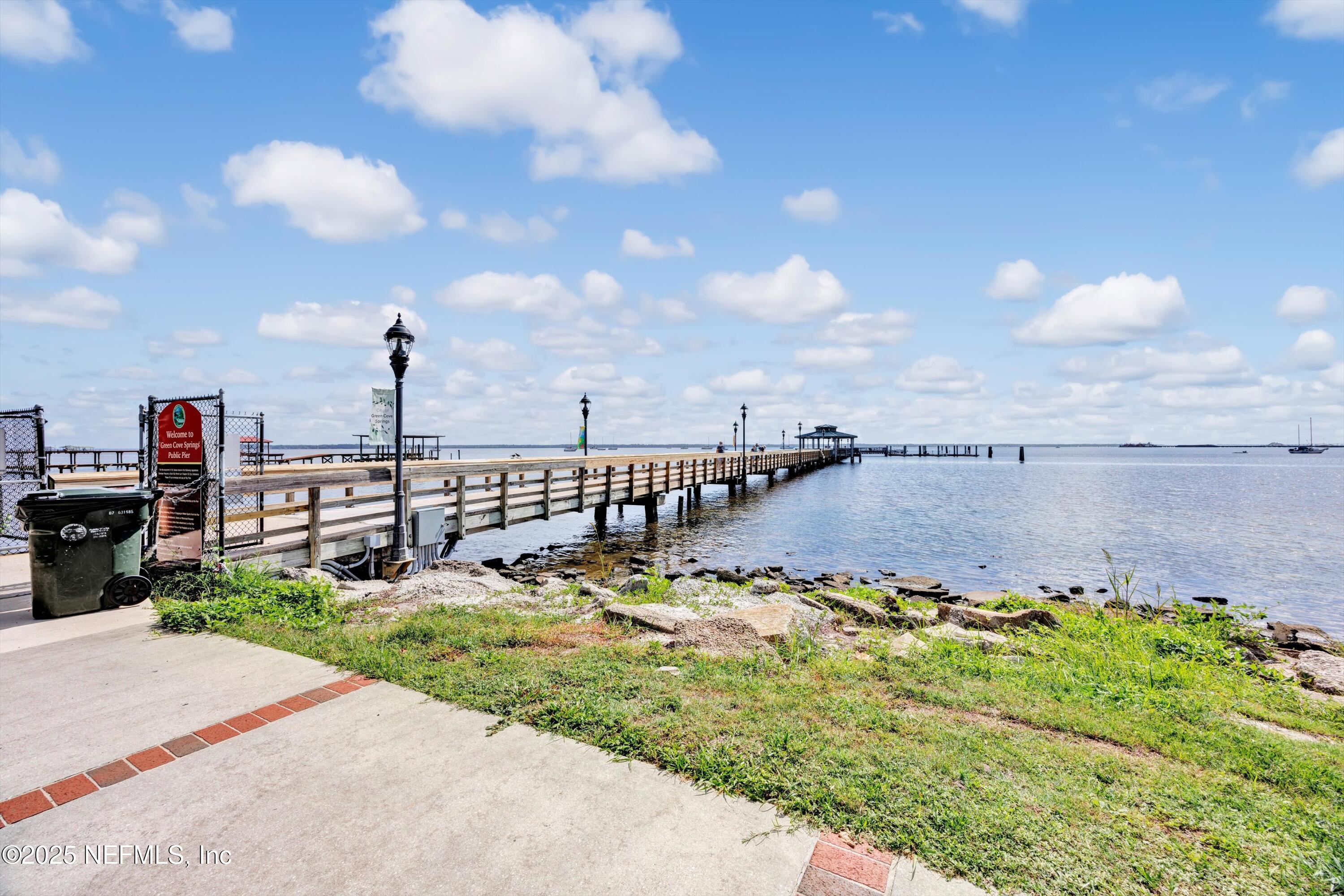 Green Cove Springs, Florida, 32043, United States, 4 Bedrooms Bedrooms, ,3 BathroomsBathrooms,Residential,For Sale,1882466