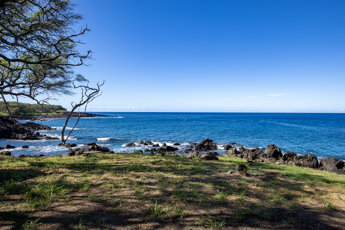 Hawi, Hawaii, 96719, United States, ,Land,For Sale,1758944
