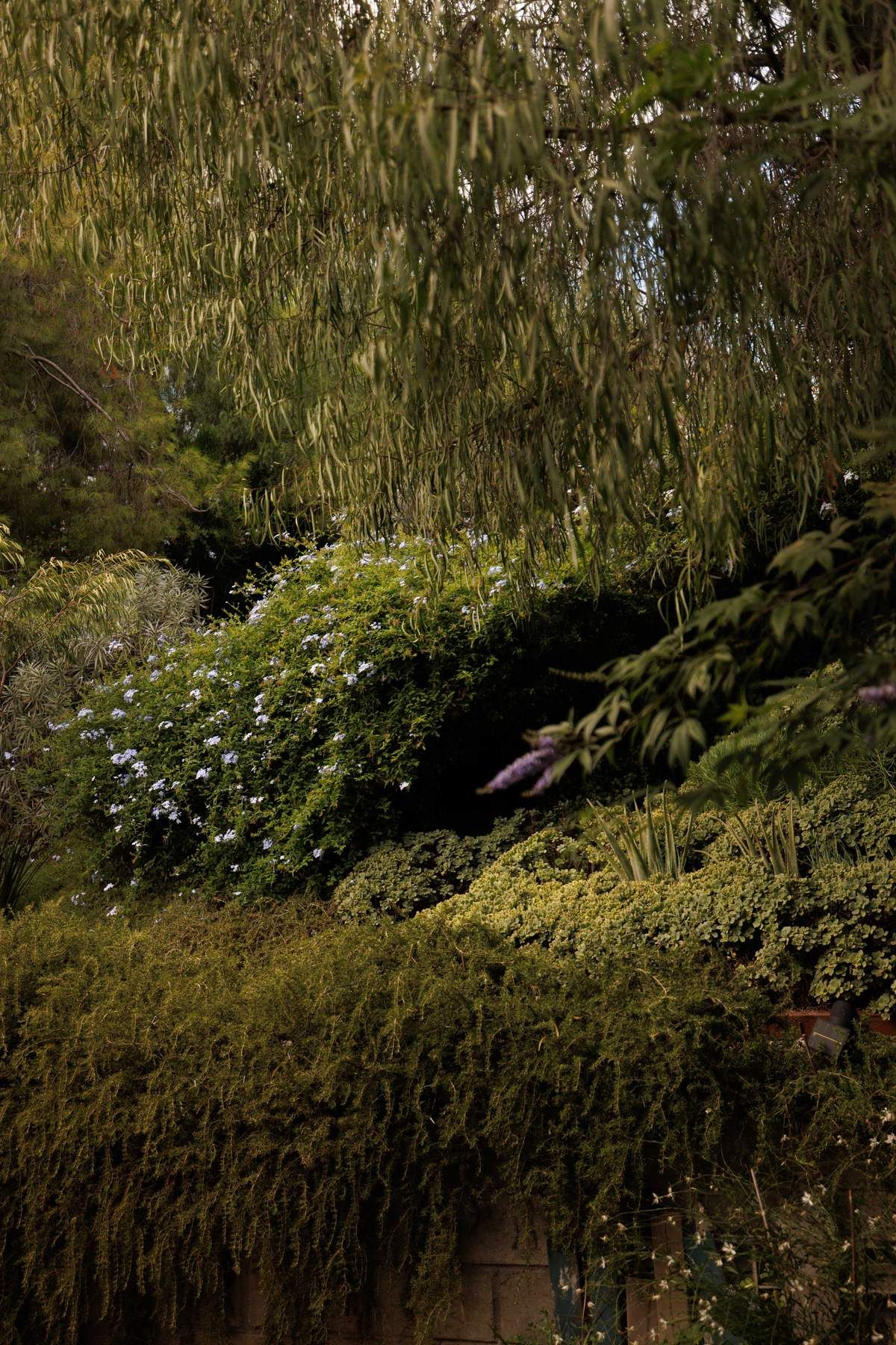  6205 Vidette Street - 物件實景