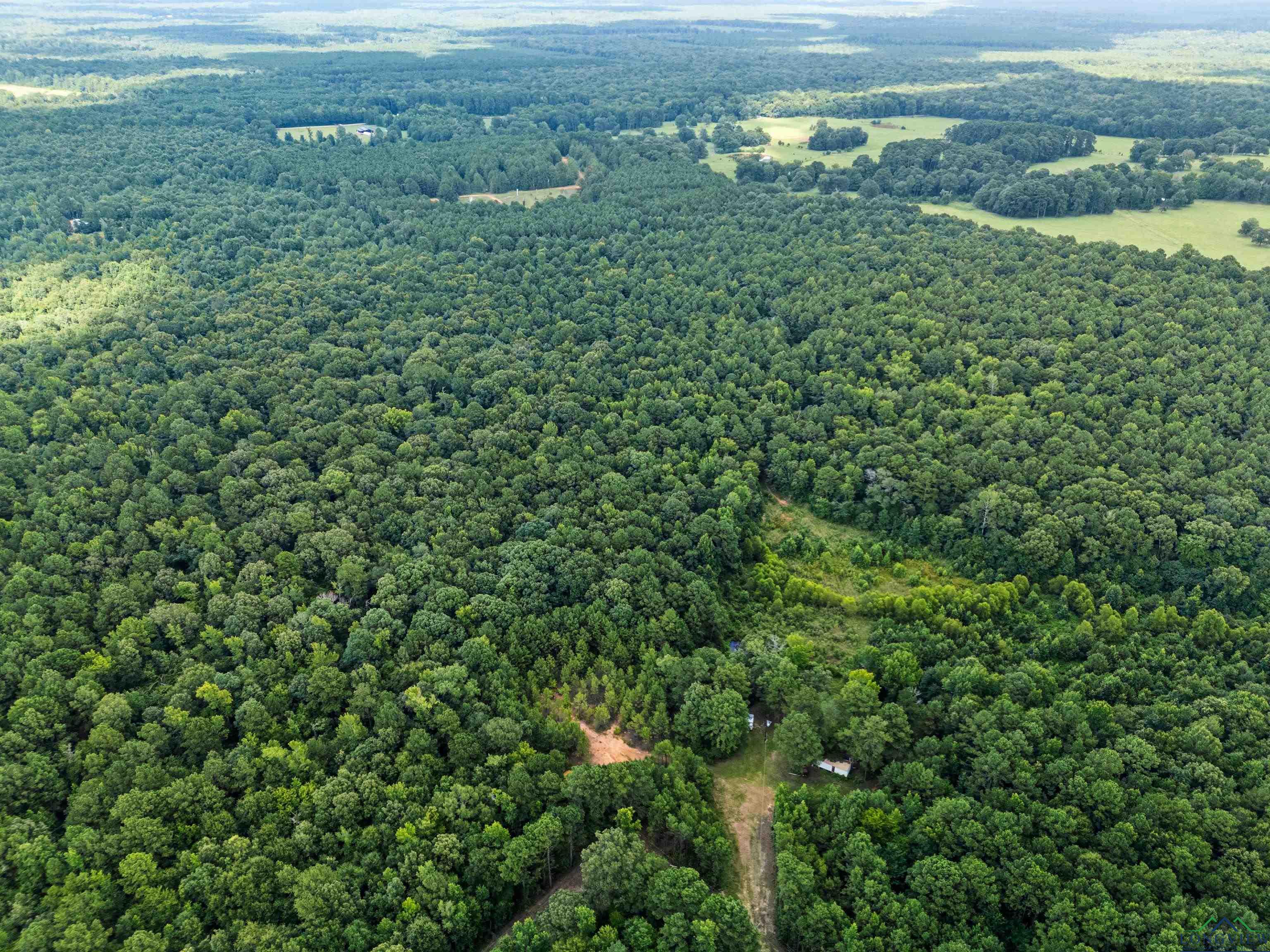 Jefferson, Texas, 75657, United States, ,Land,For Sale,1890245