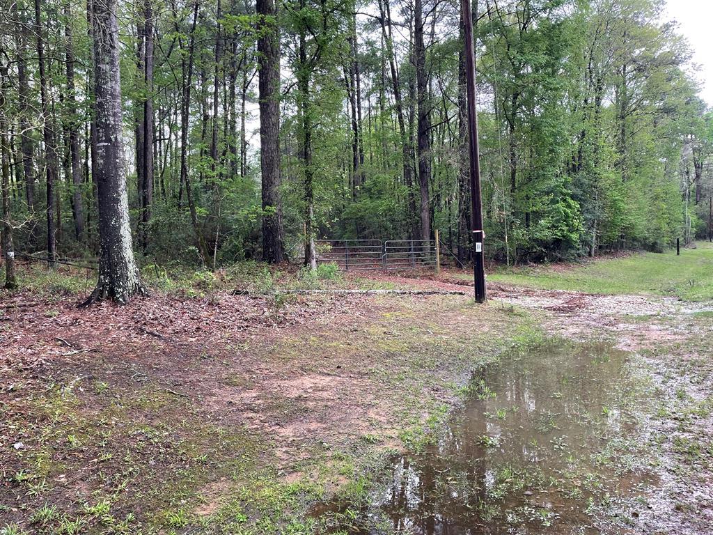 Nacogdoches, Texas, 75964, United States, 3 Bedrooms Bedrooms, ,2 BathroomsBathrooms,Residential,For Sale,1753235